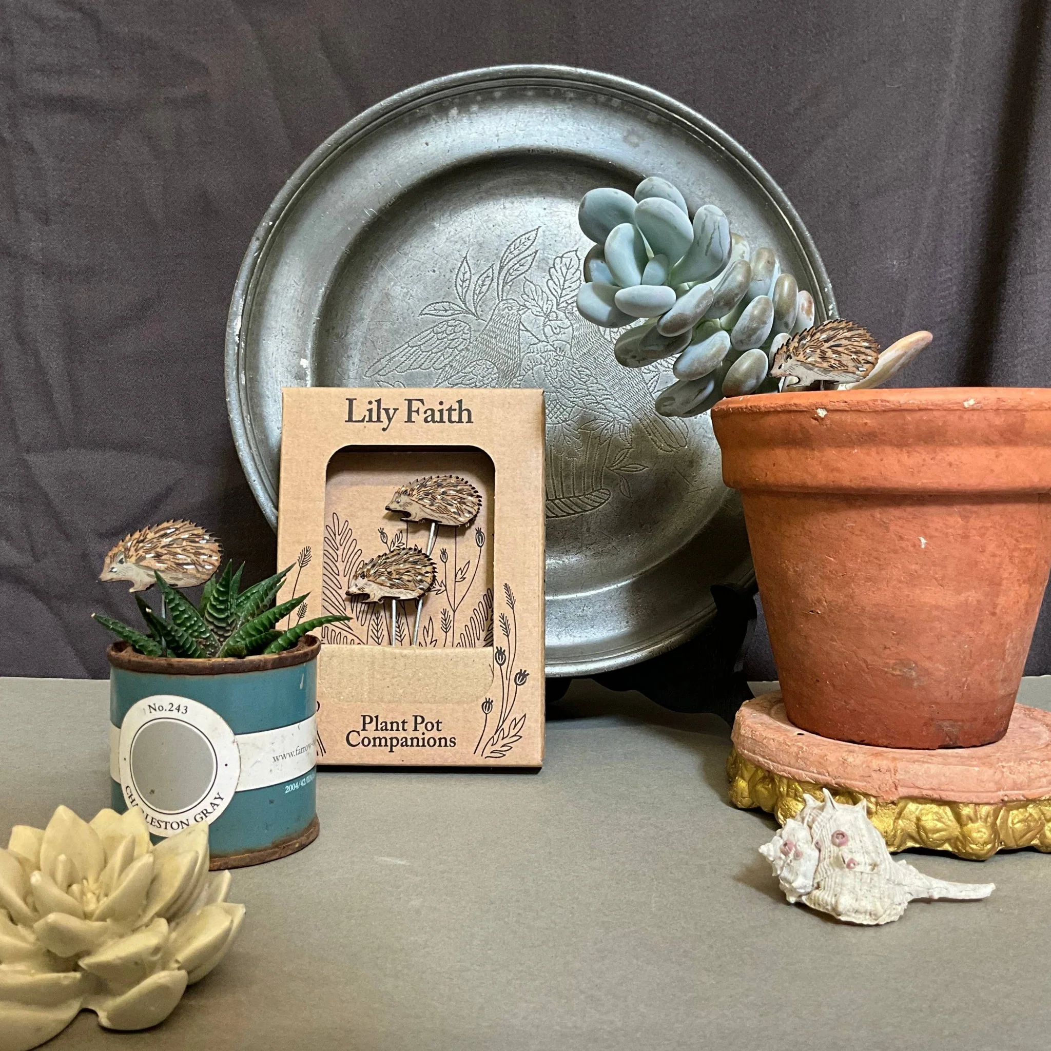 Hedgehog Plant Pot Companions - Image 2