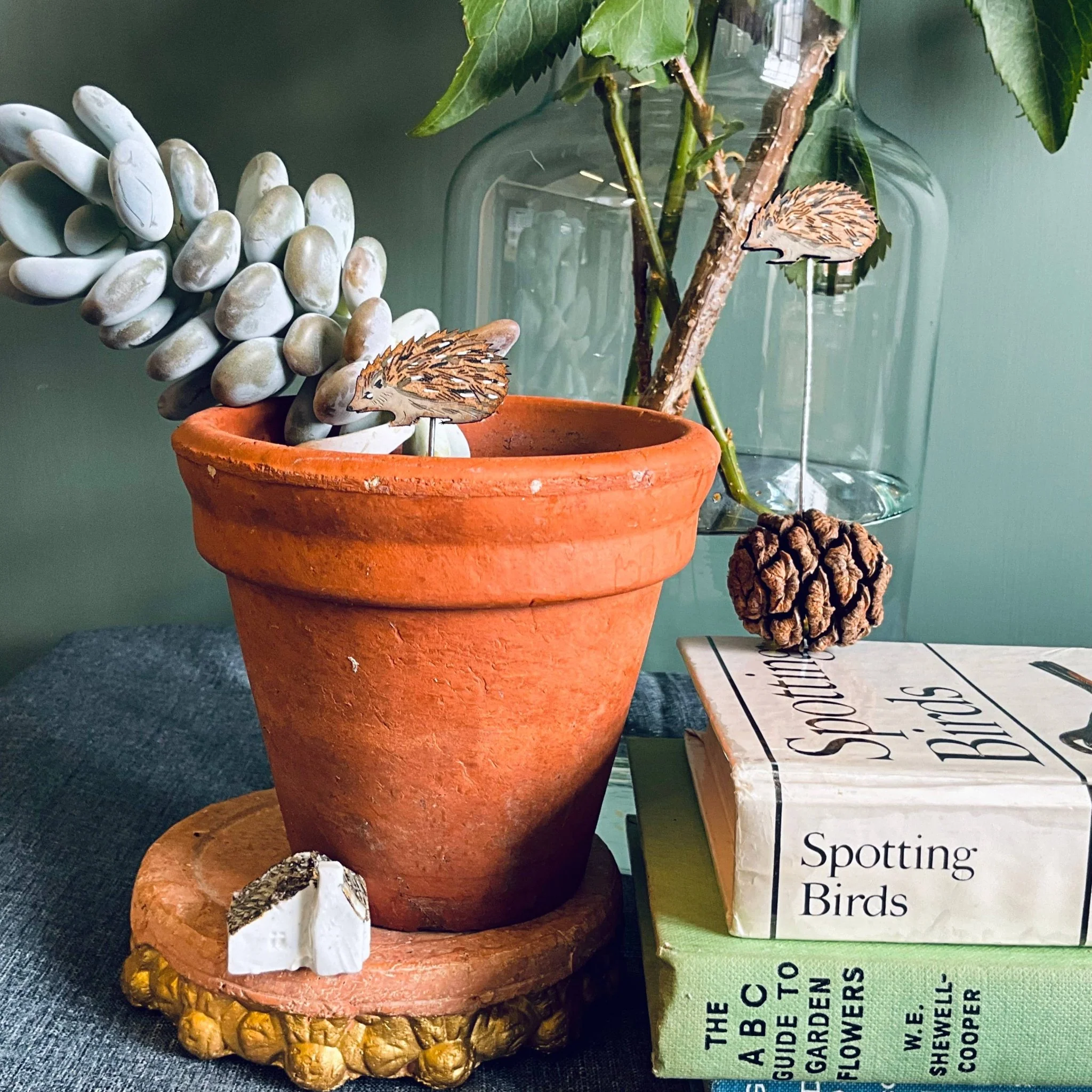 Hedgehog Plant Pot Companions - Image 3