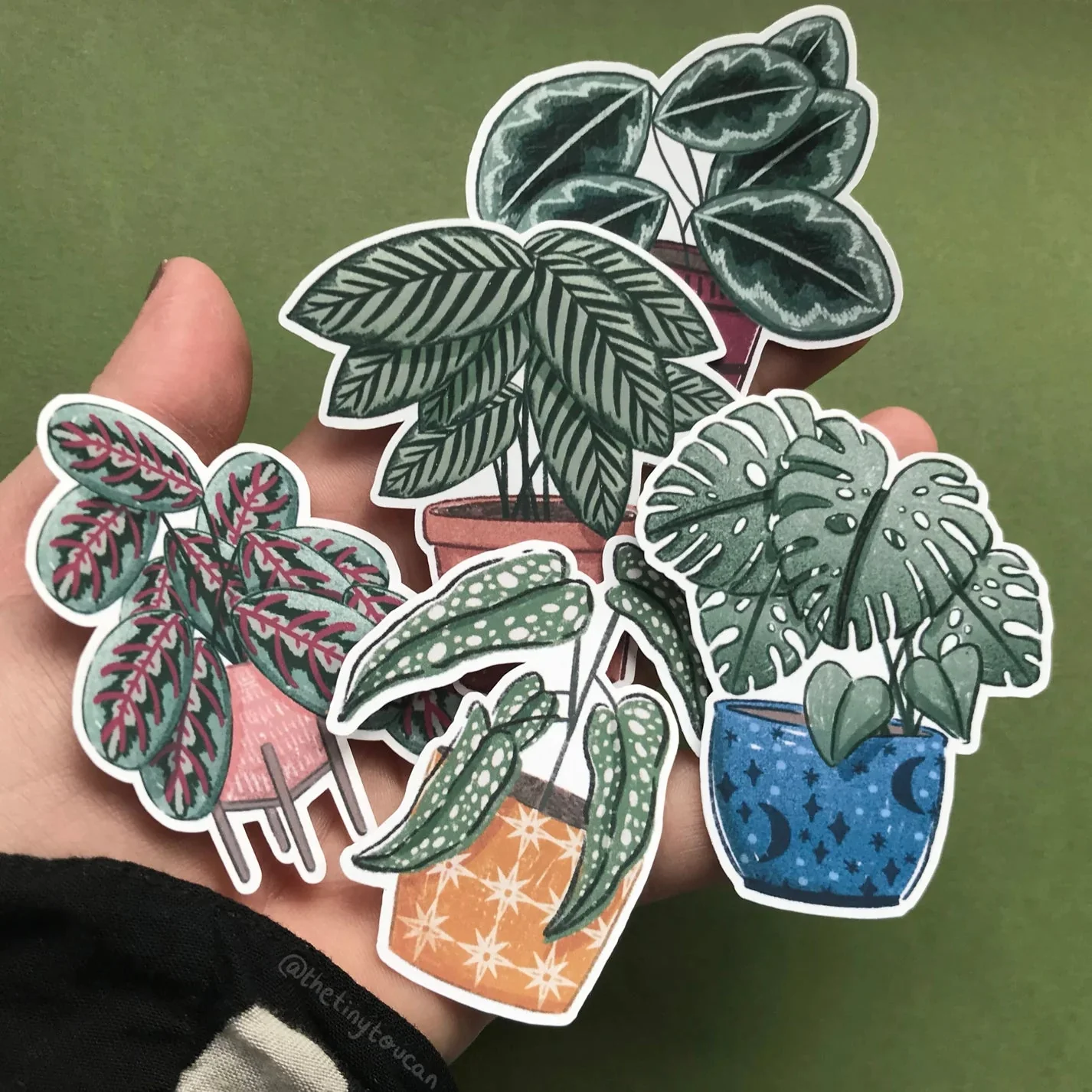 Hello Houseplants Sticker Pack - Image 2