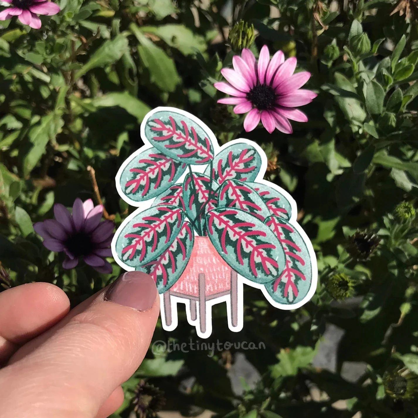 Hello Houseplants Sticker Pack - Image 3