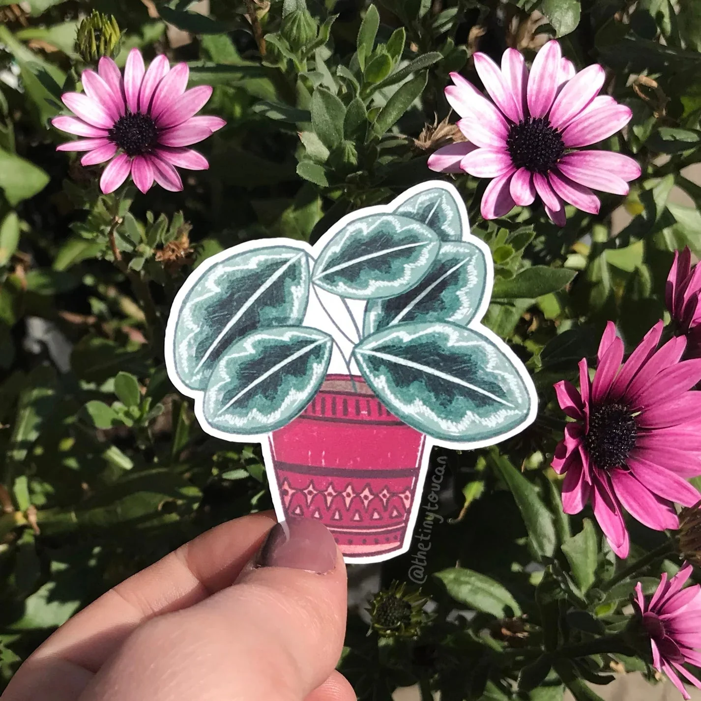 Hello Houseplants Sticker Pack - Image 4