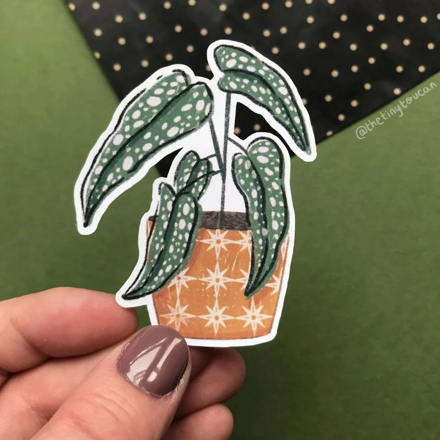 Hello Houseplants Sticker Pack - Image 5