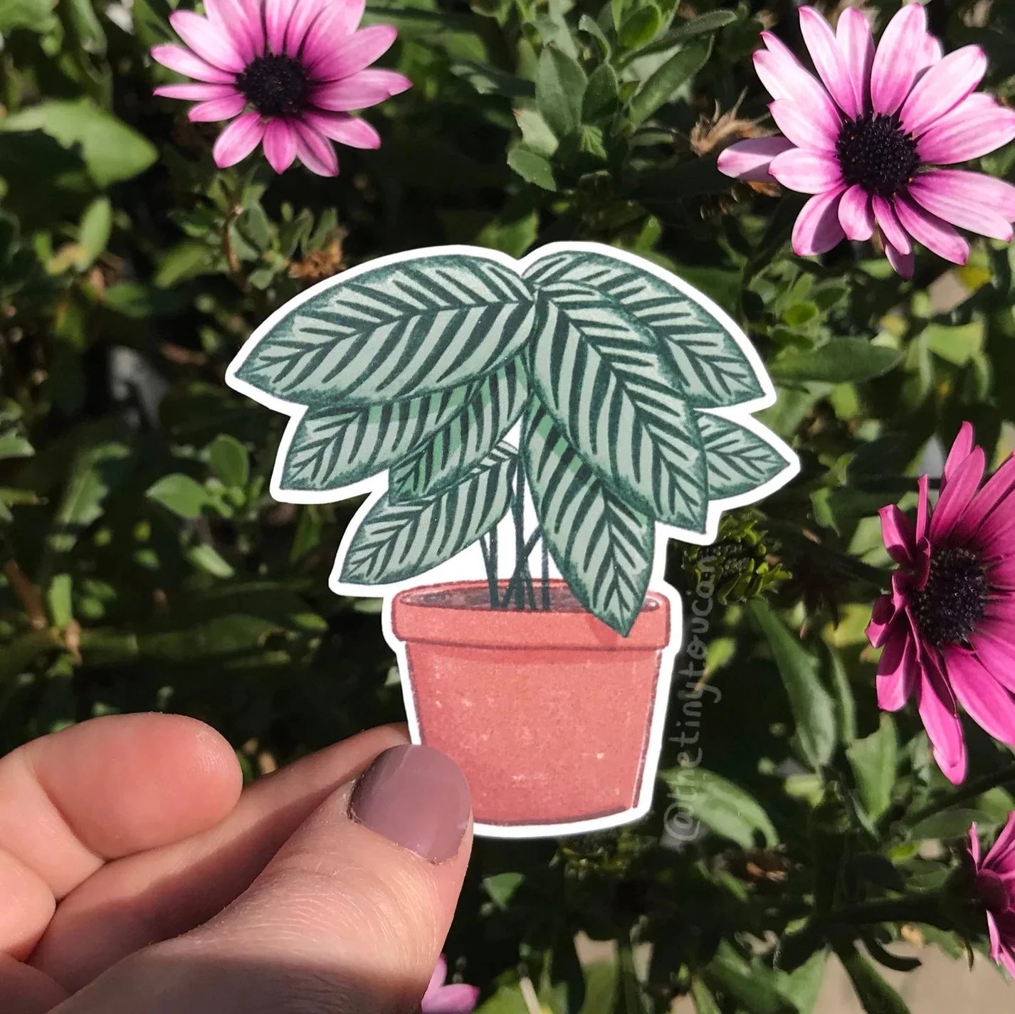 Hello Houseplants Sticker Pack - Image 8