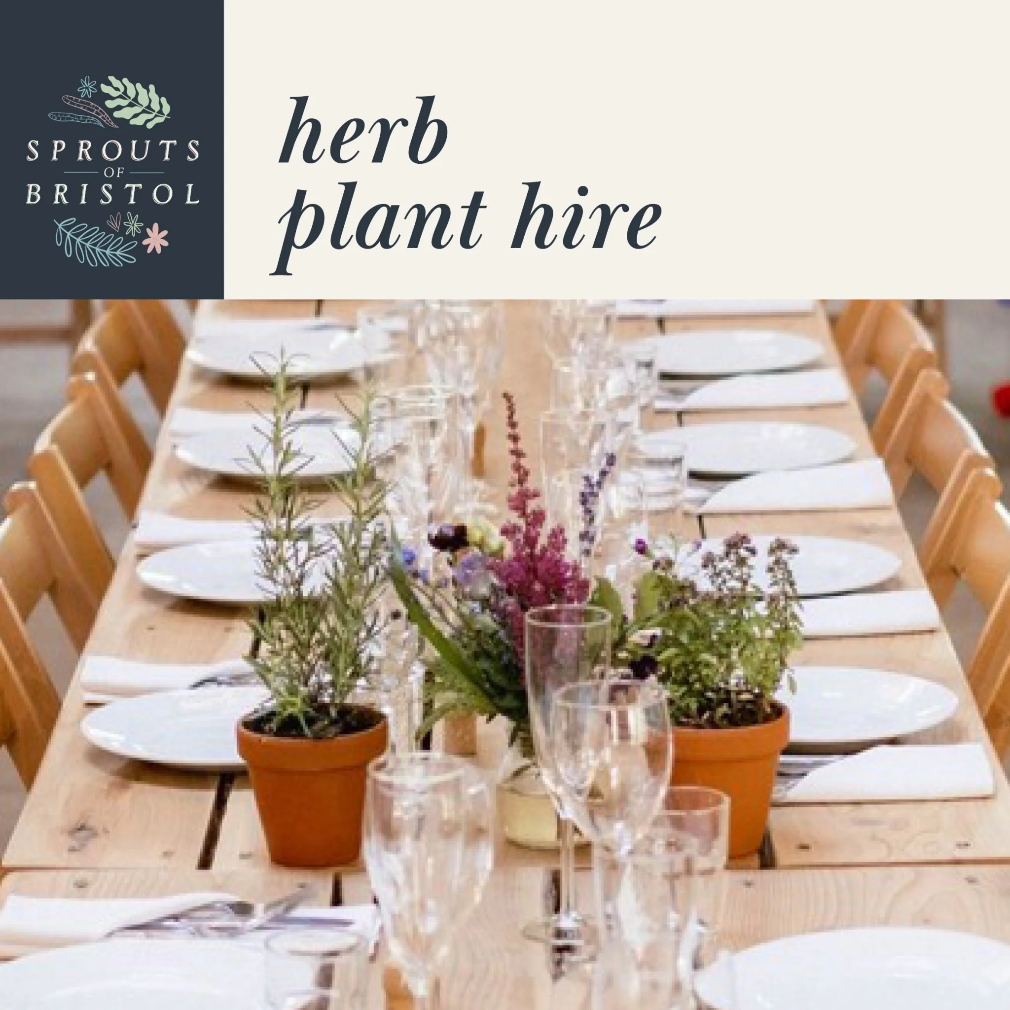 Herb Plant Hire – Rustic & Fragrant