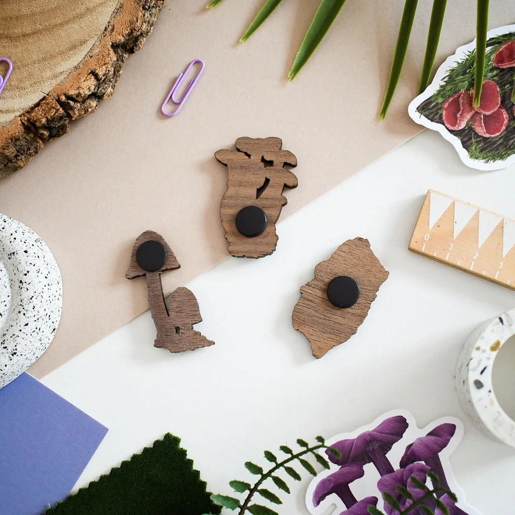 Illustrated Wooden Native Fungi Magnets - Set of 3 - Image 2