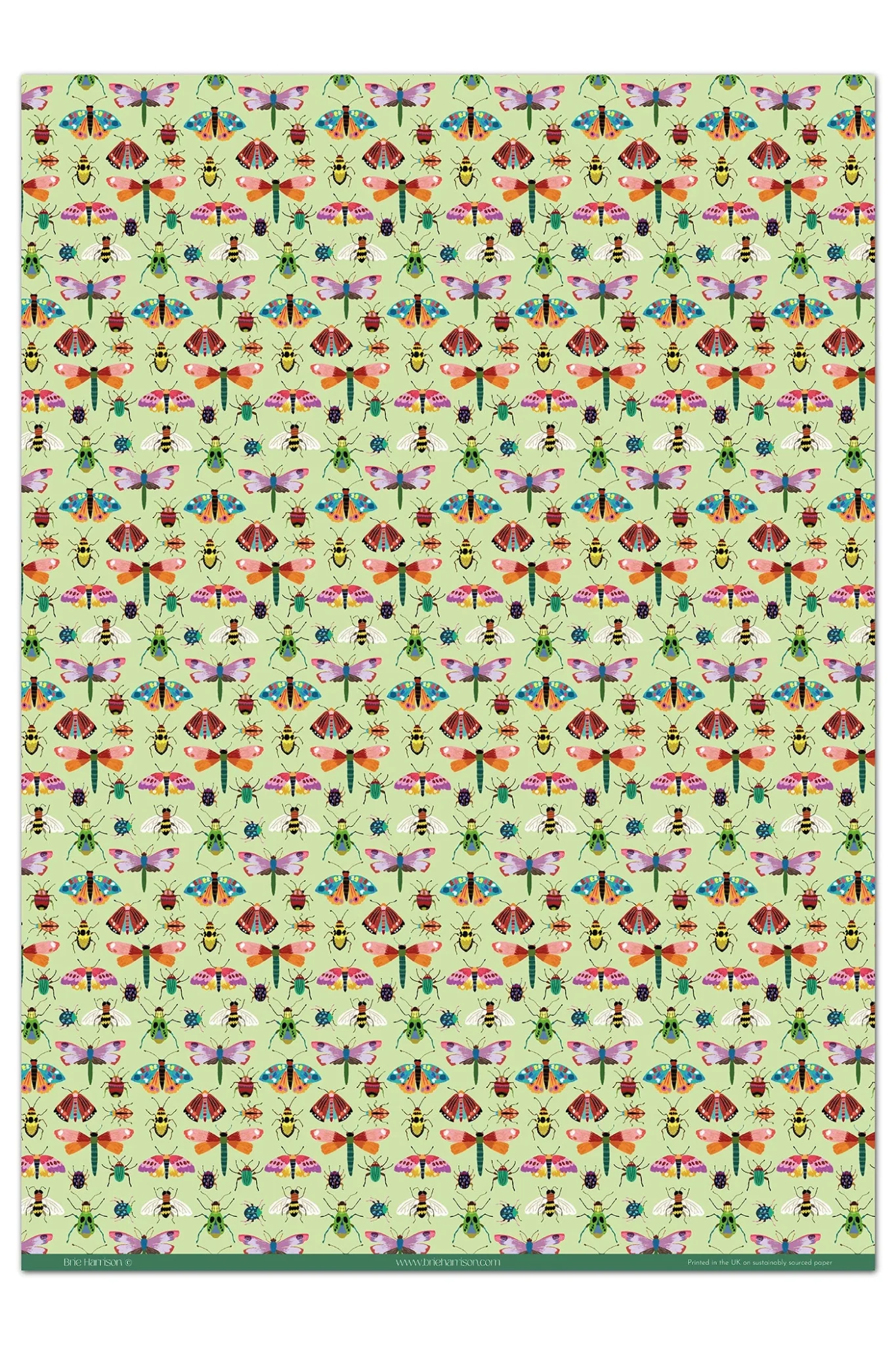 Insects Gift Wrap