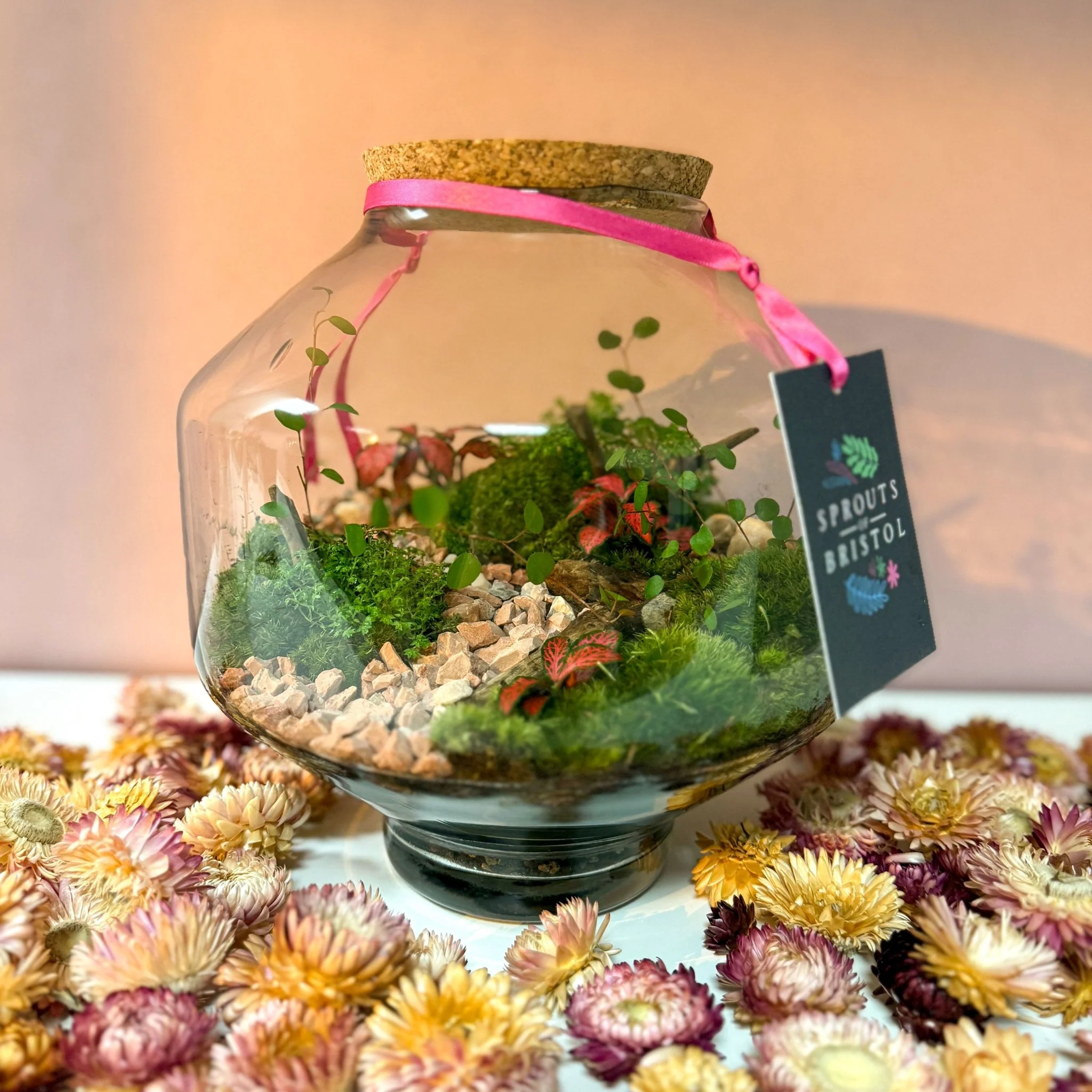Iza Glass Valentine’s Bioactive Terrarium