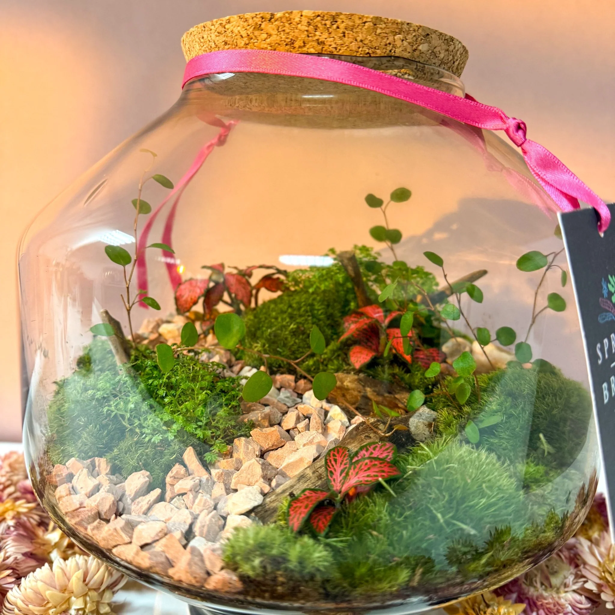 Iza Glass Valentine’s Bioactive Terrarium - Image 11