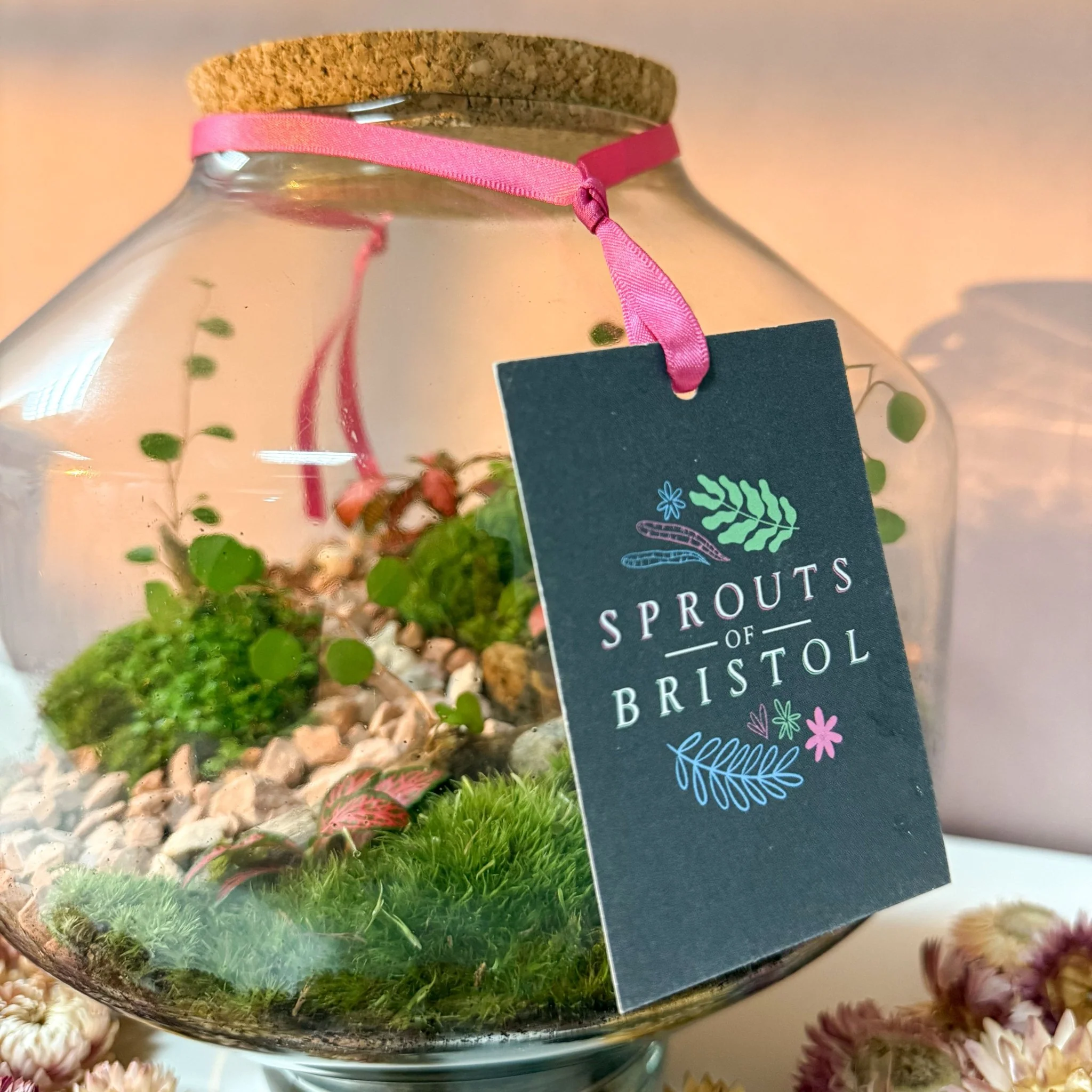 Iza Glass Valentine’s Bioactive Terrarium - Image 12