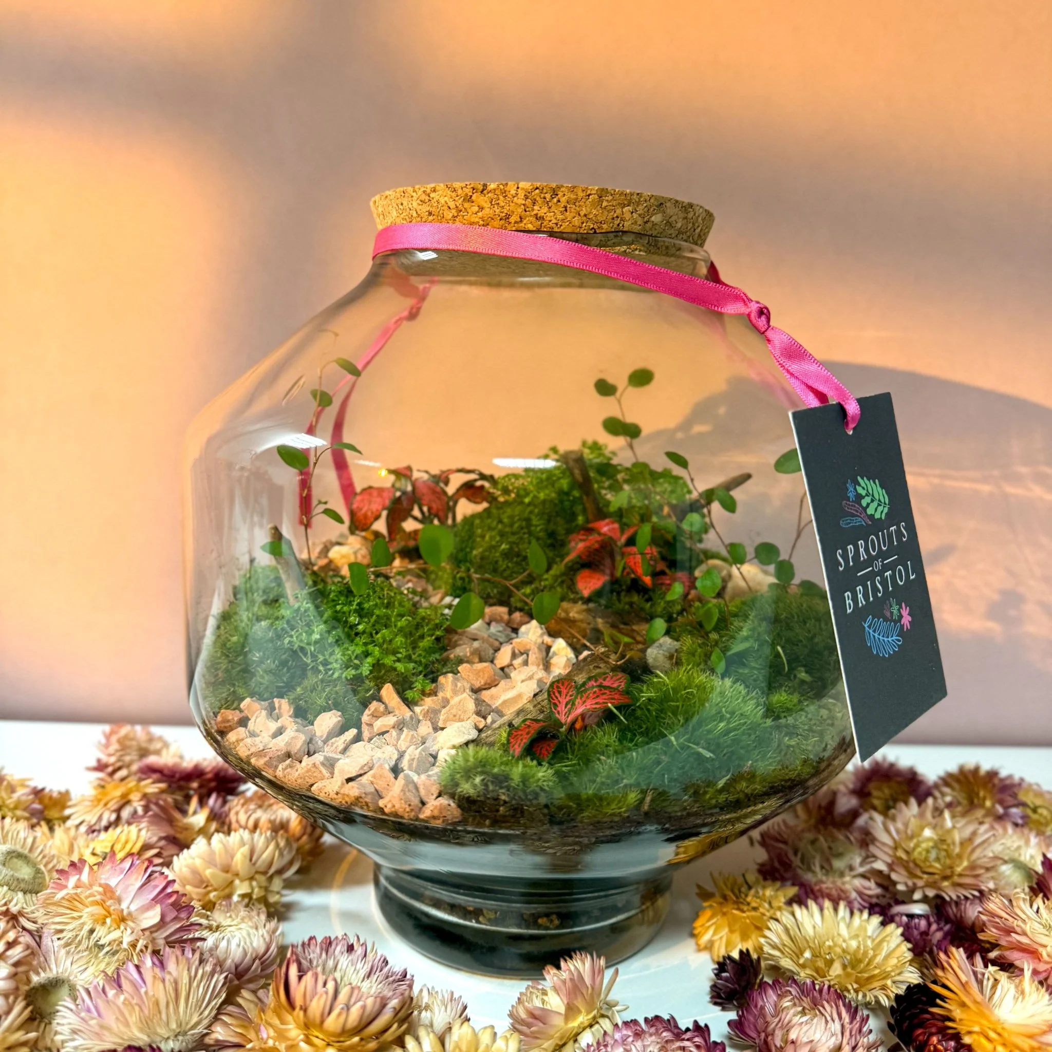 Iza Glass Valentine’s Bioactive Terrarium - Image 9