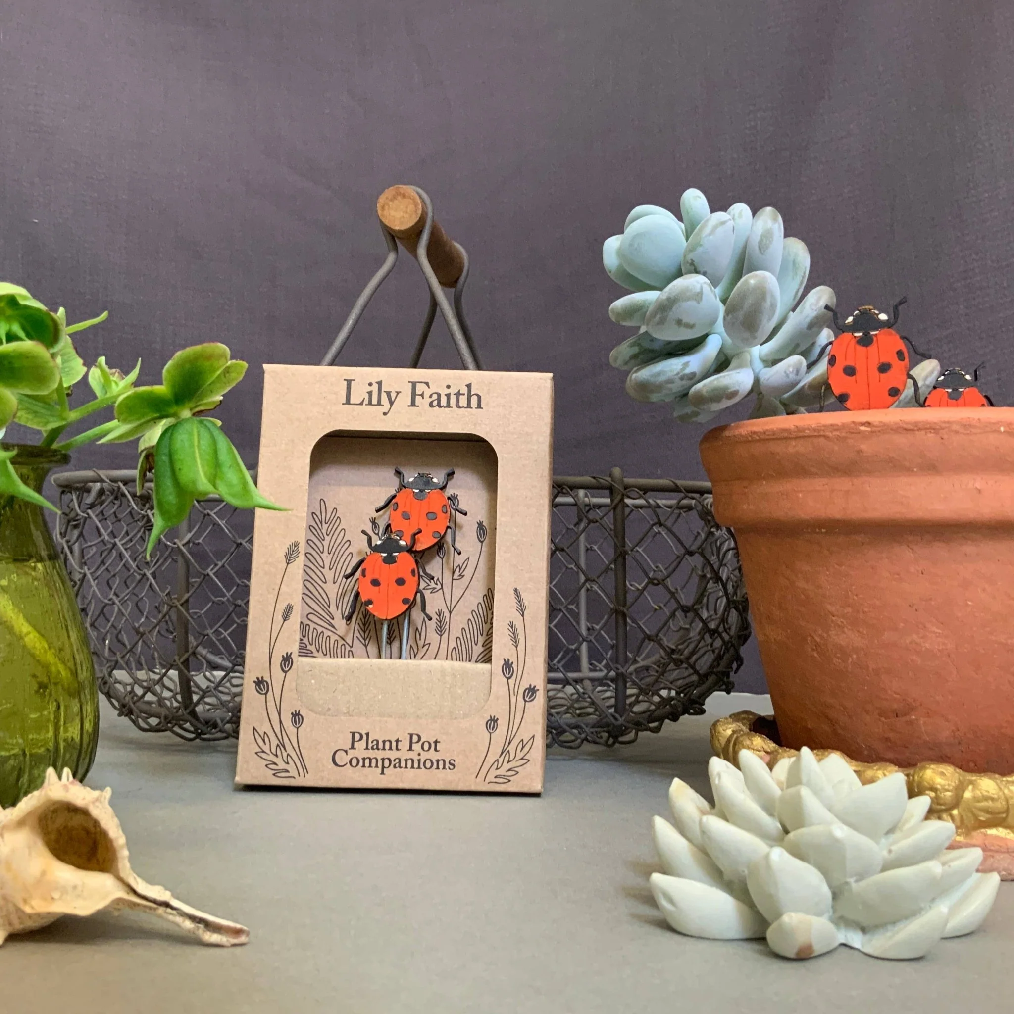 Ladybird Plant Pot Companions - Image 3