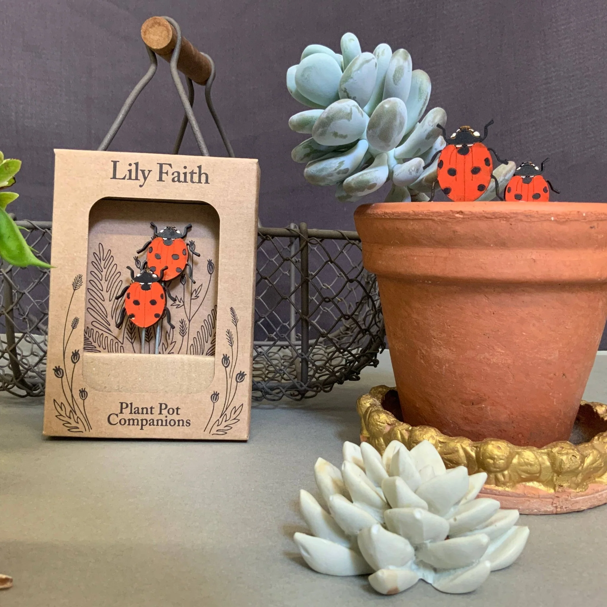 Ladybird Plant Pot Companions - Image 5