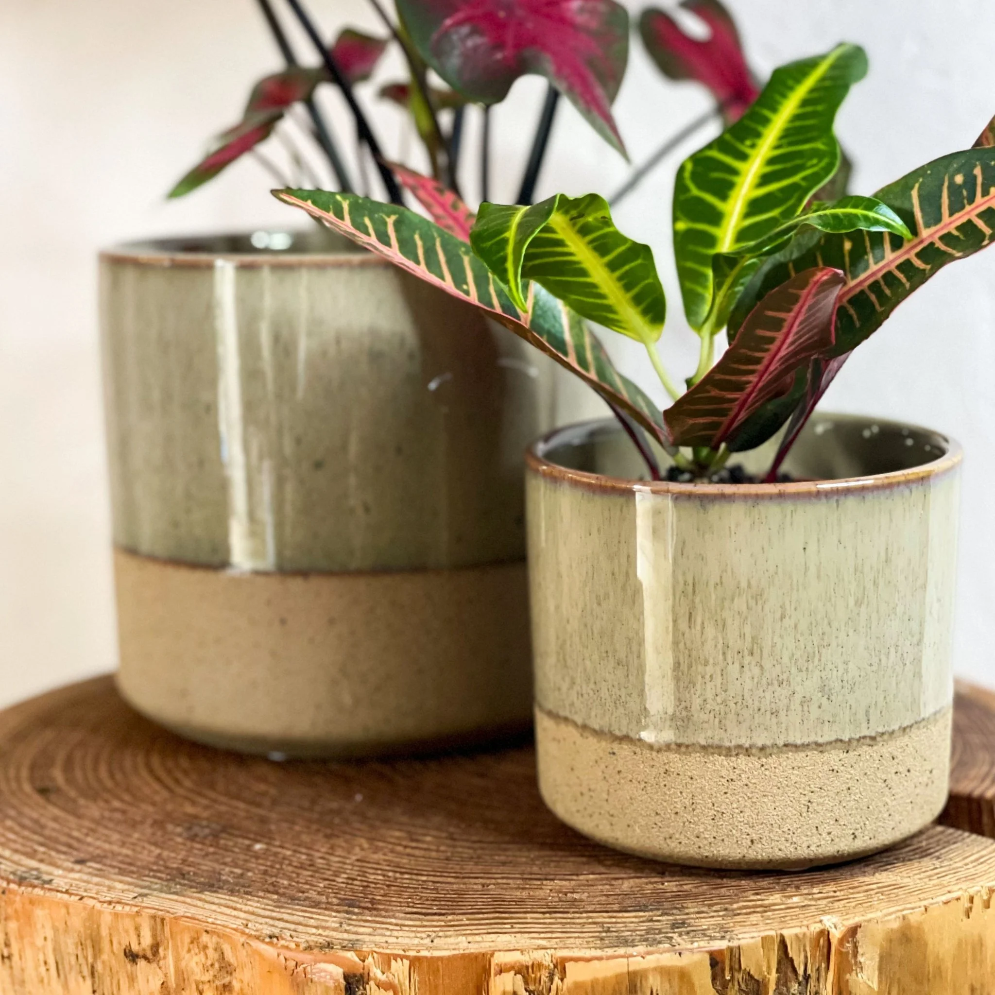 Two-tone Split Glaze Lago Planter - Image 2