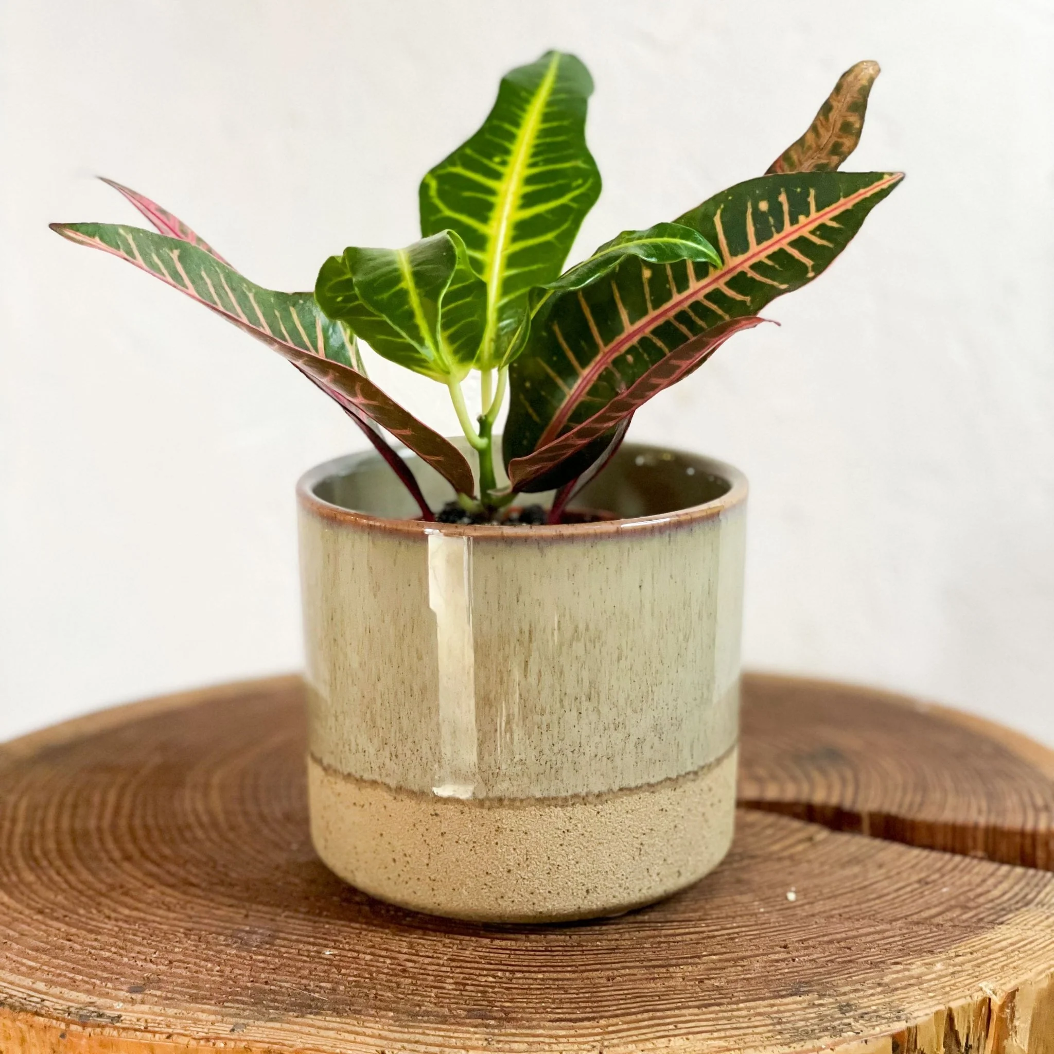 Two-tone Split Glaze Lago Planter - Image 4
