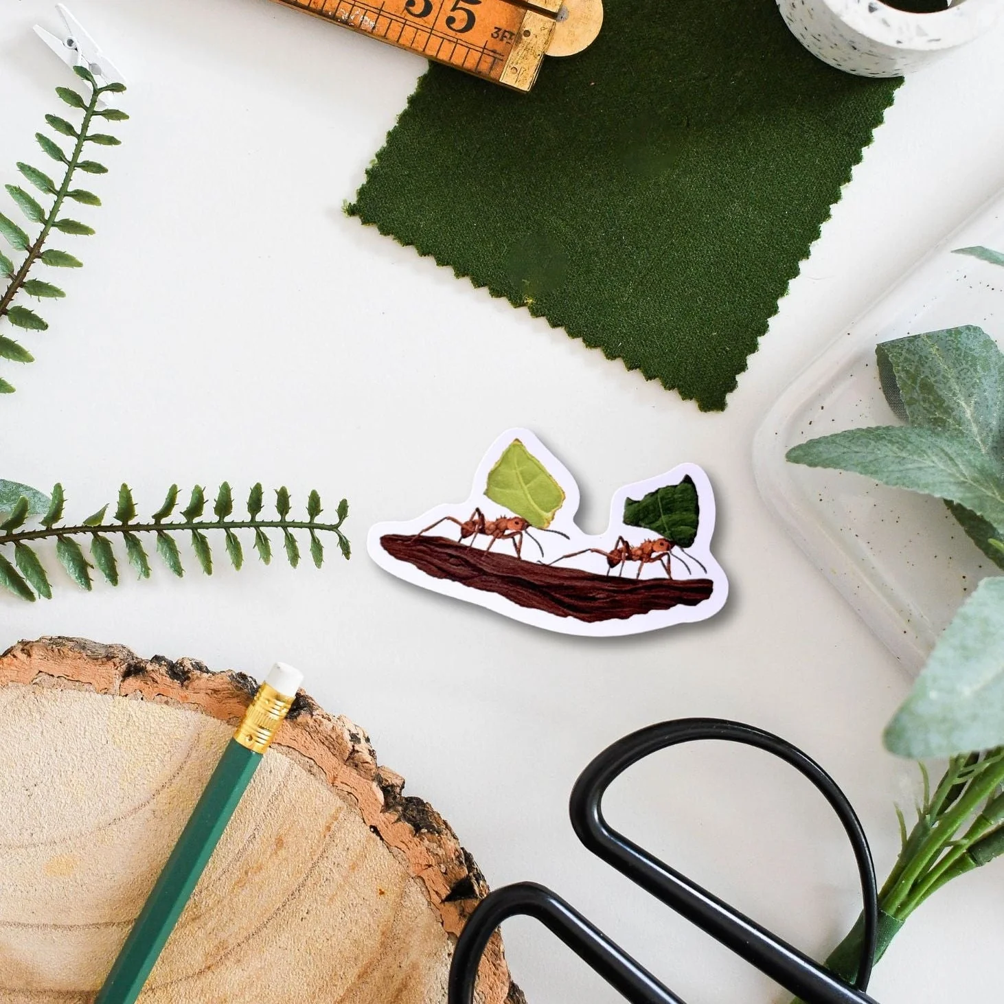 Leafcutter Ant Amazon Wildlife Vinyl Sticker [Beneath the Canopy RHS Collab] - Image 2