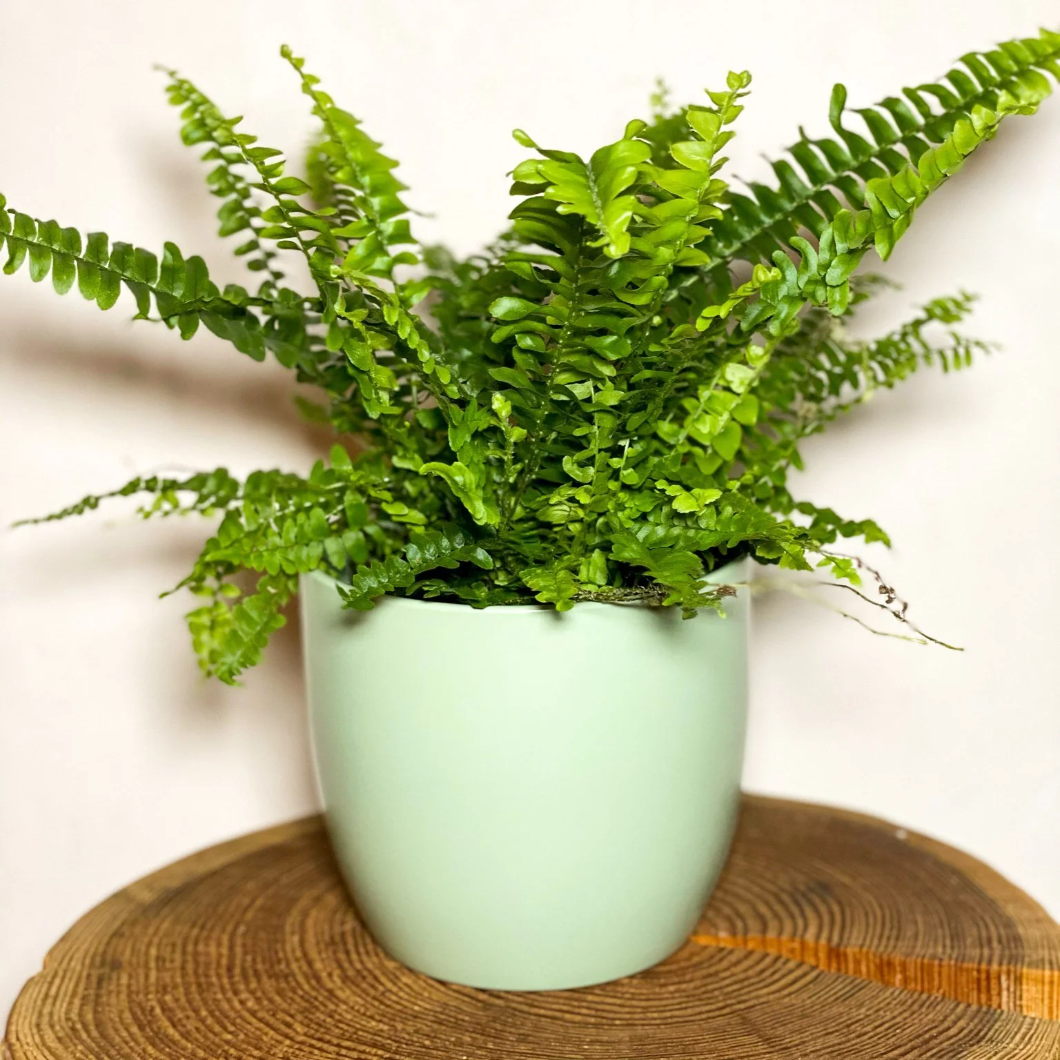 Light Green Planter - 13cm