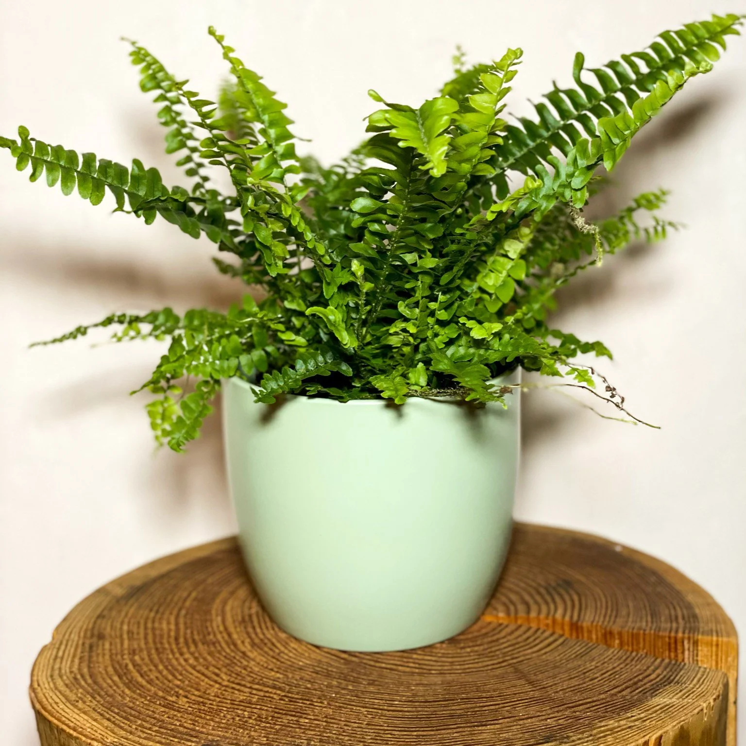 Light Green Planter - 13cm - Image 2