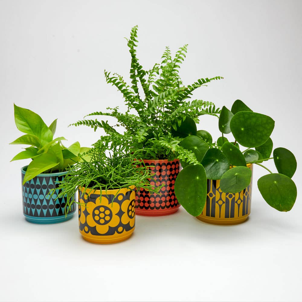 Magpie x Hornsea Medium Planty – Geo Chartreuse Plant Pot - Image 3