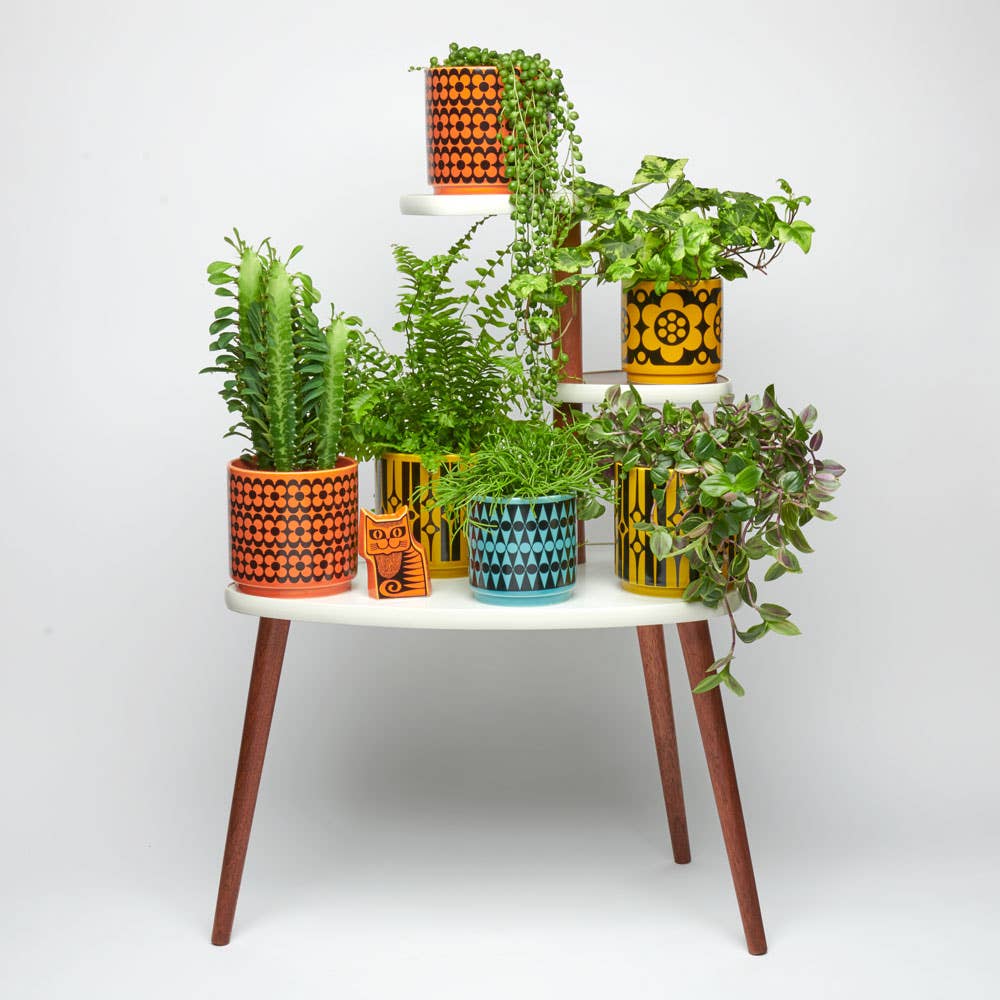 Magpie x Hornsea Medium Planty – Repeat Flower Plant Pot - Image 4