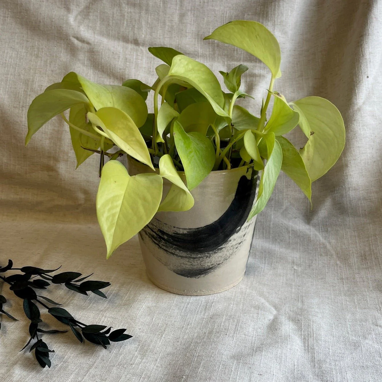 Makers Mark - Black and White Handmade Ceramic Plant Pot