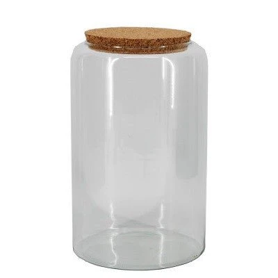 Mari Glass Vessel [Terrarium Supplies] - Image 3