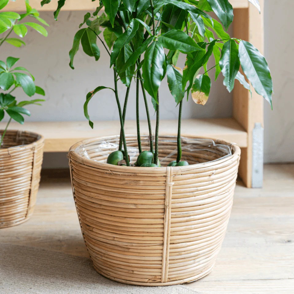 Mayfield Plant Pot