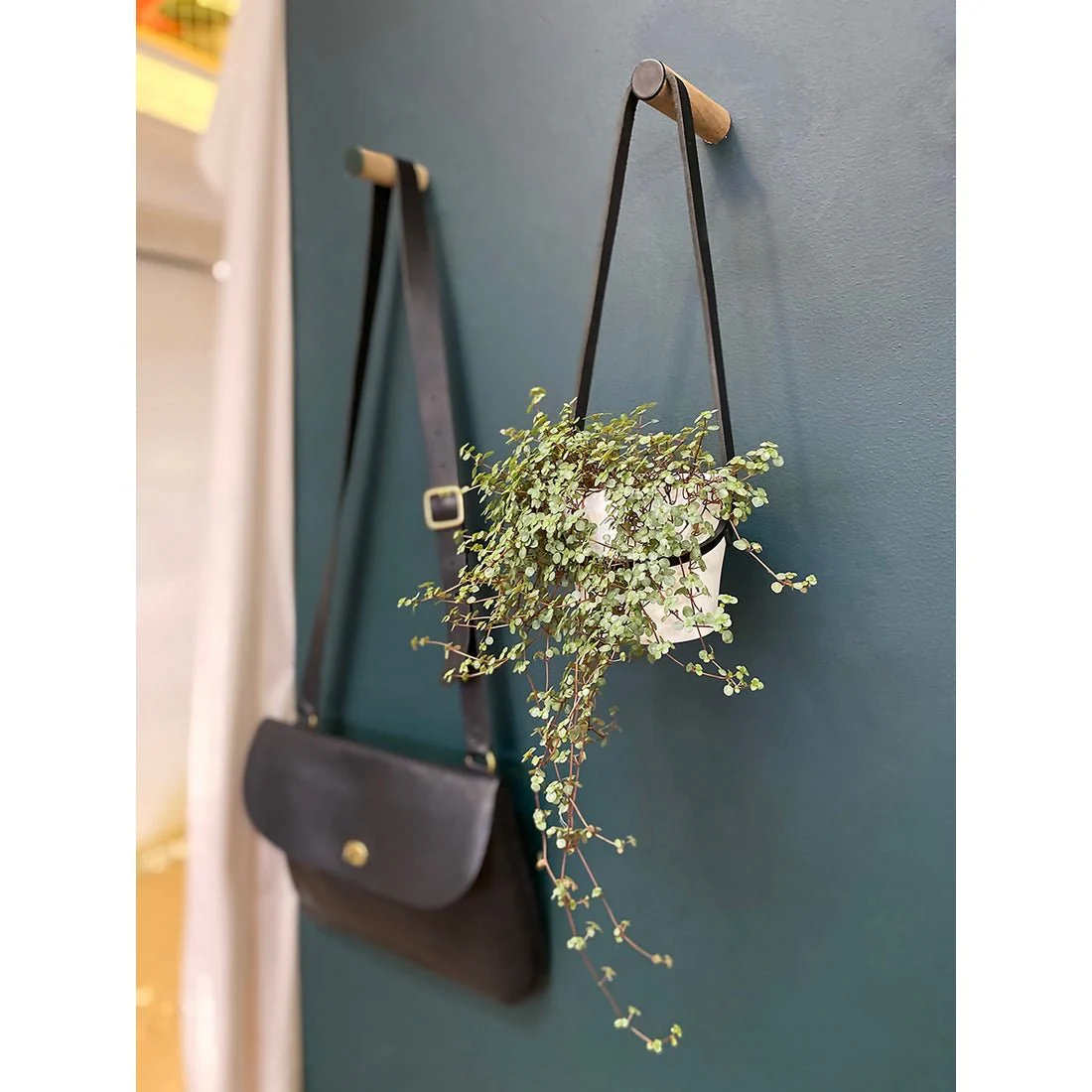 Medium Peg Wall Planter - Ex-display - Image 2