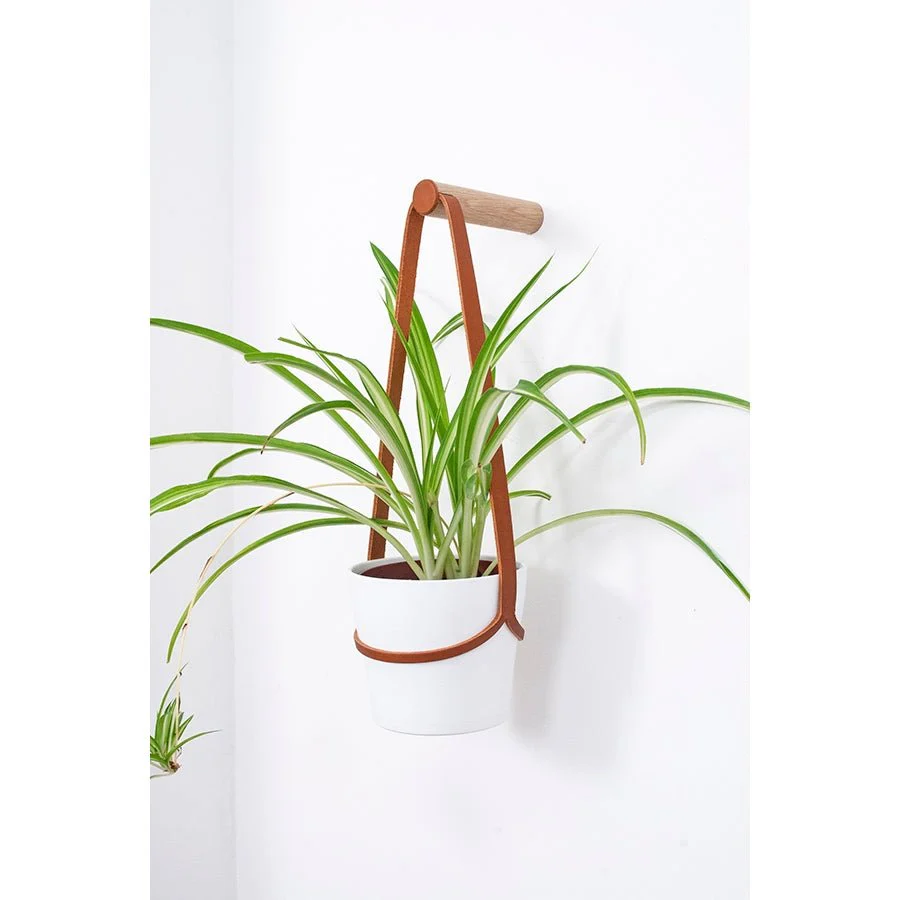 Medium Peg Wall Planter - Ex-display - Image 6