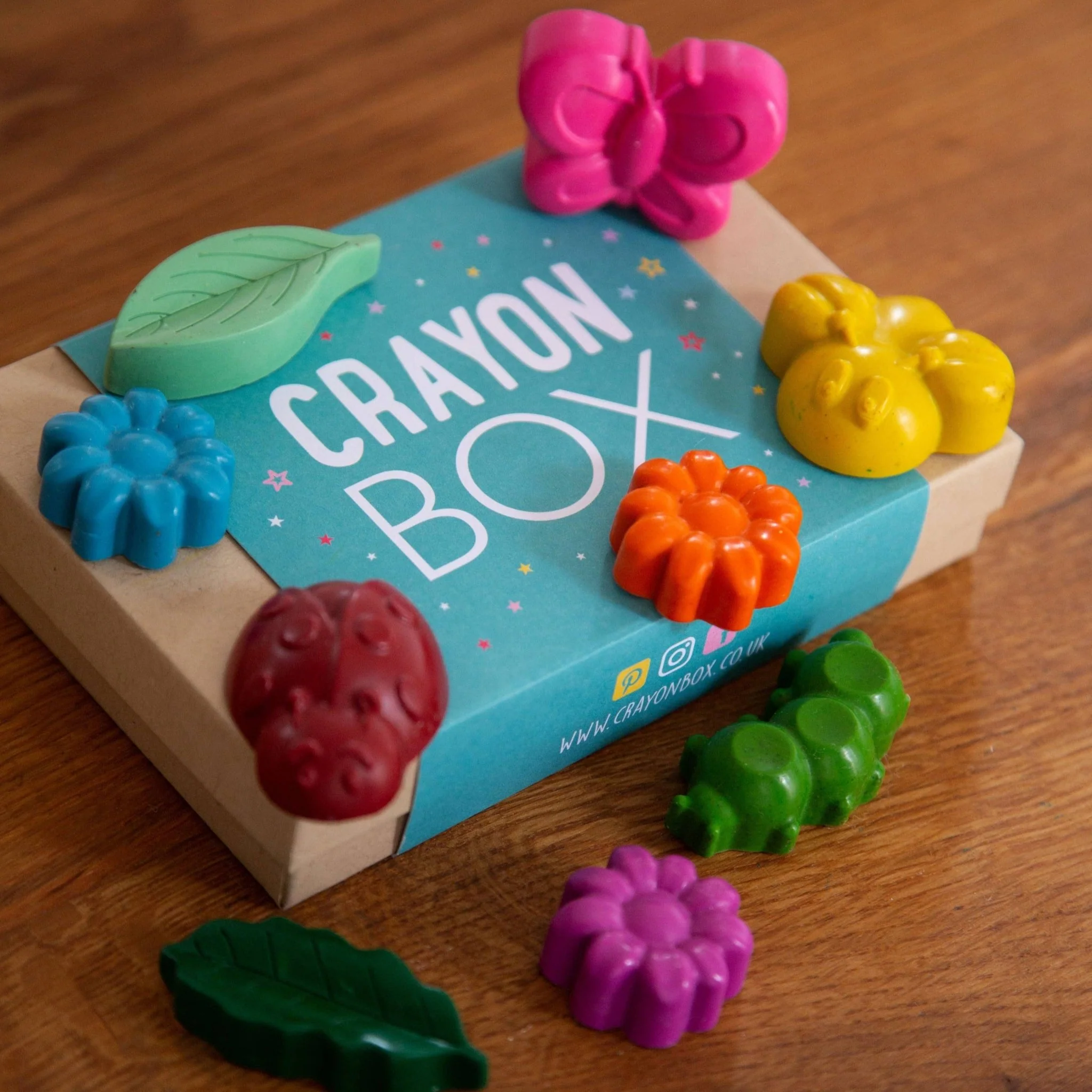 Mini Beast Shaped Wax Crayons - Featuring Leaves, Ladybird, Butterfly and Caterpillar