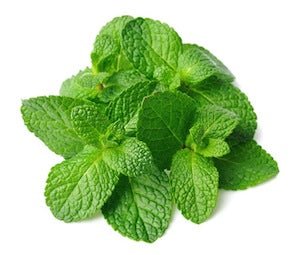 Mint Herb Garden Seedball Tubes - Image 2