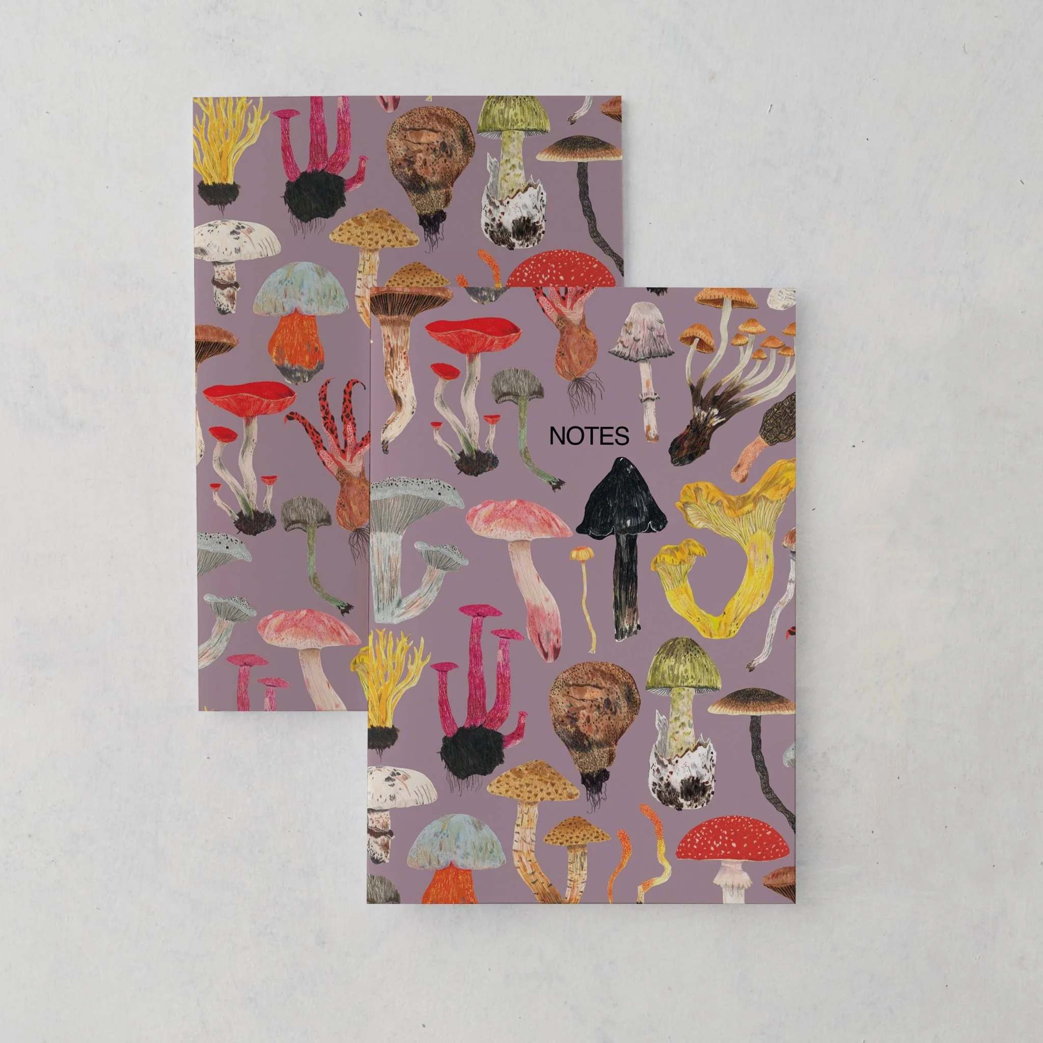 Mushroom and Toadstools A5 Notebook