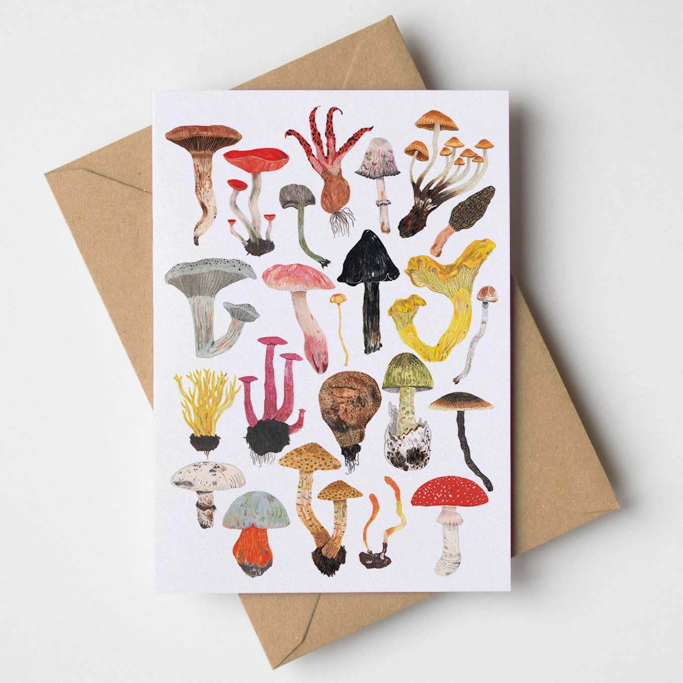 Mushrooms Greetings Card