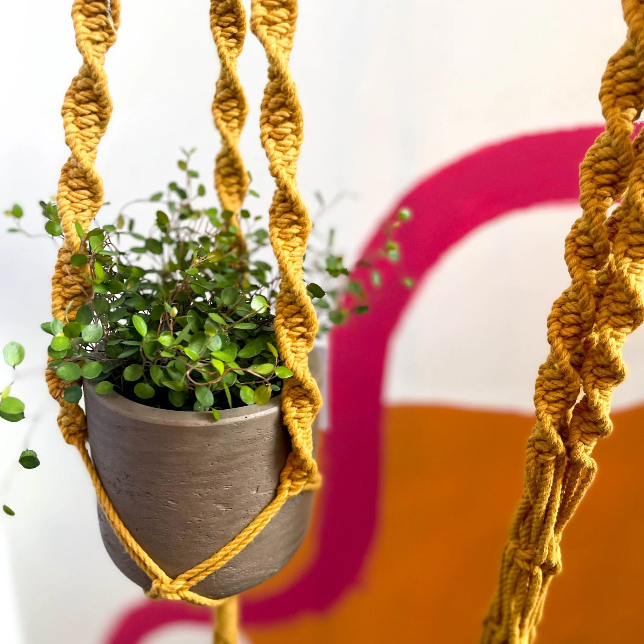 Mustard Yellow Macrame Plant Hanger