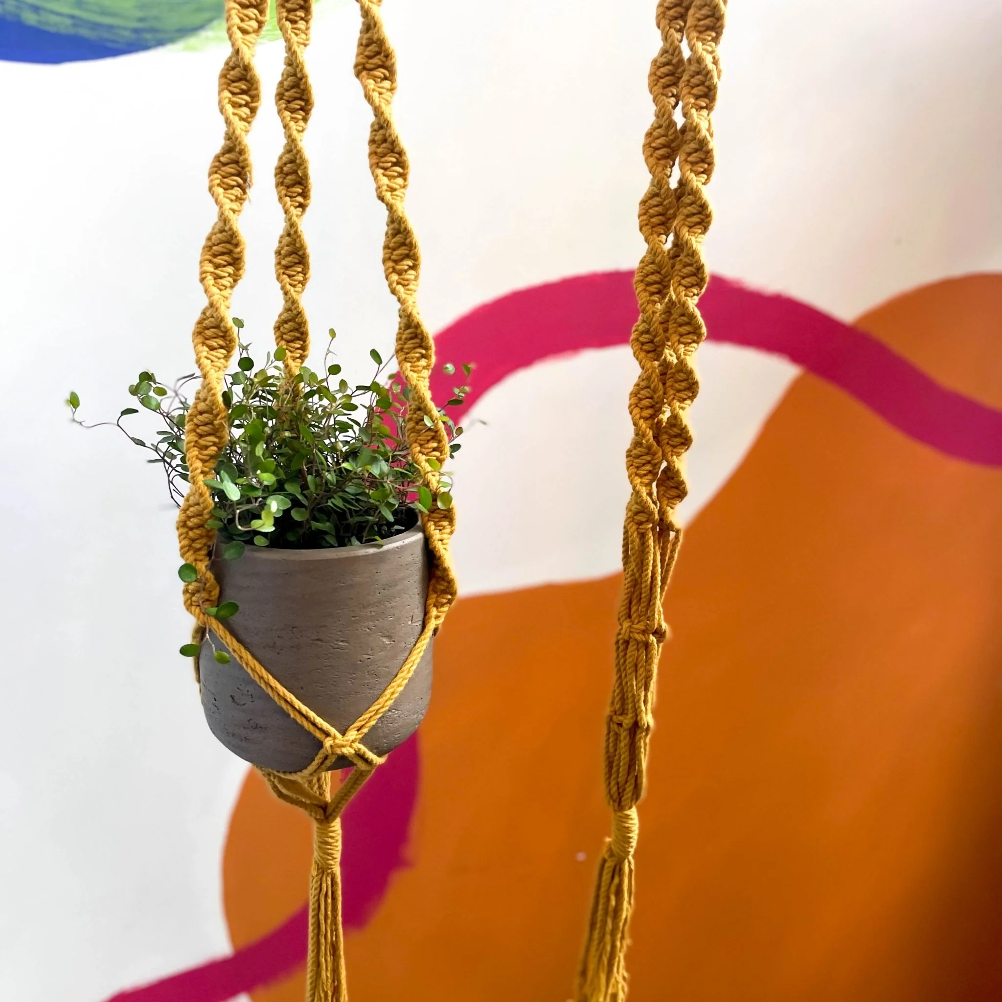 Mustard Yellow Macrame Plant Hanger - Image 3