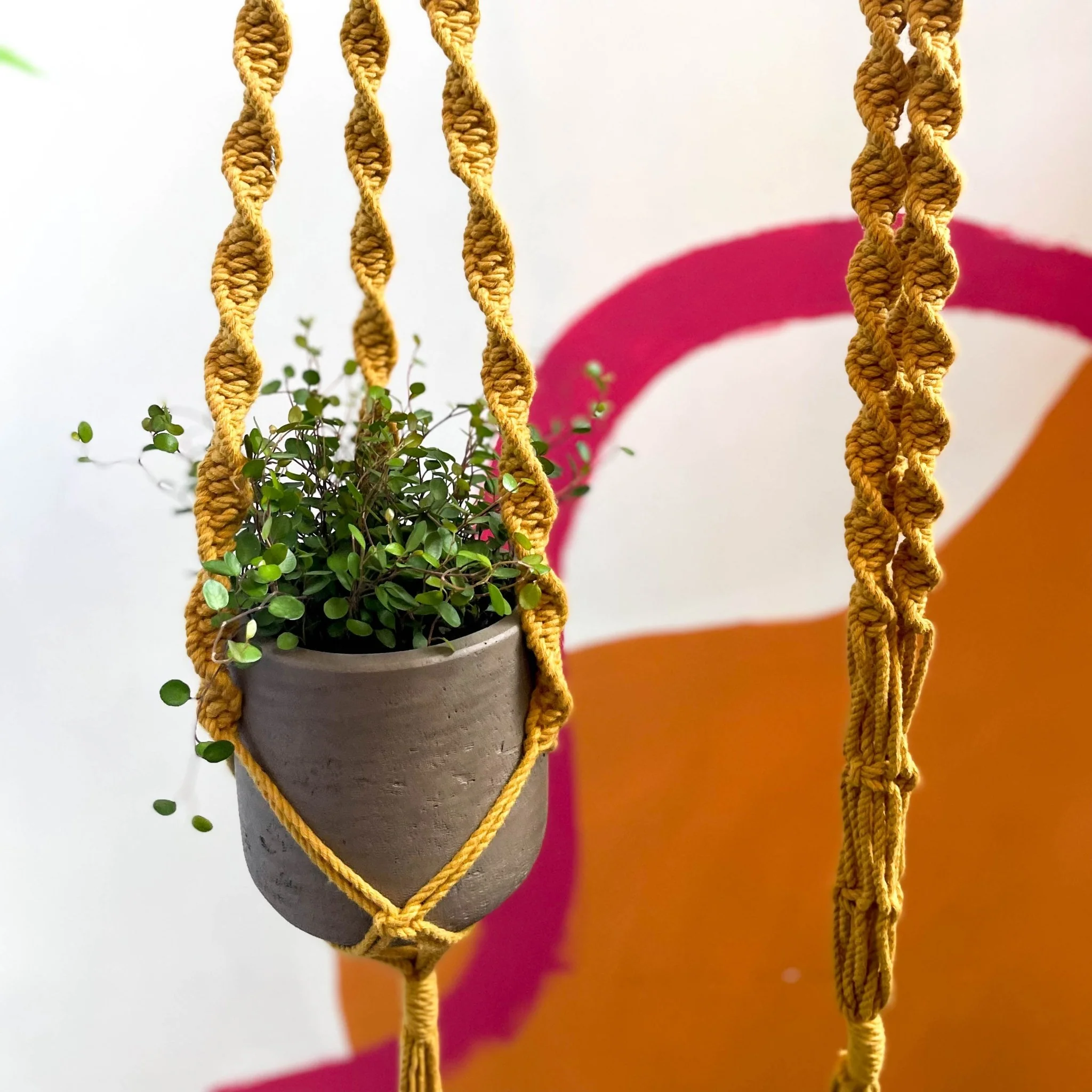 Mustard Yellow Macrame Plant Hanger - Image 5