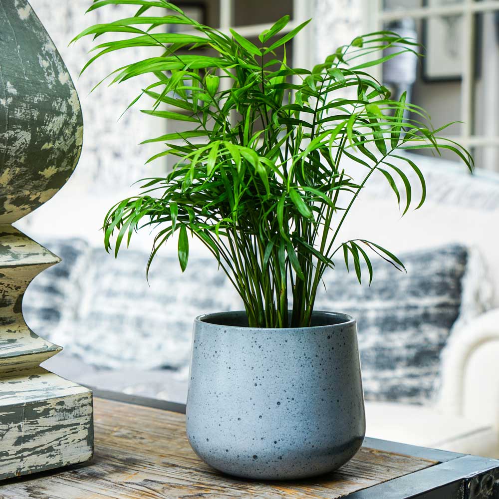 Nantes Planter