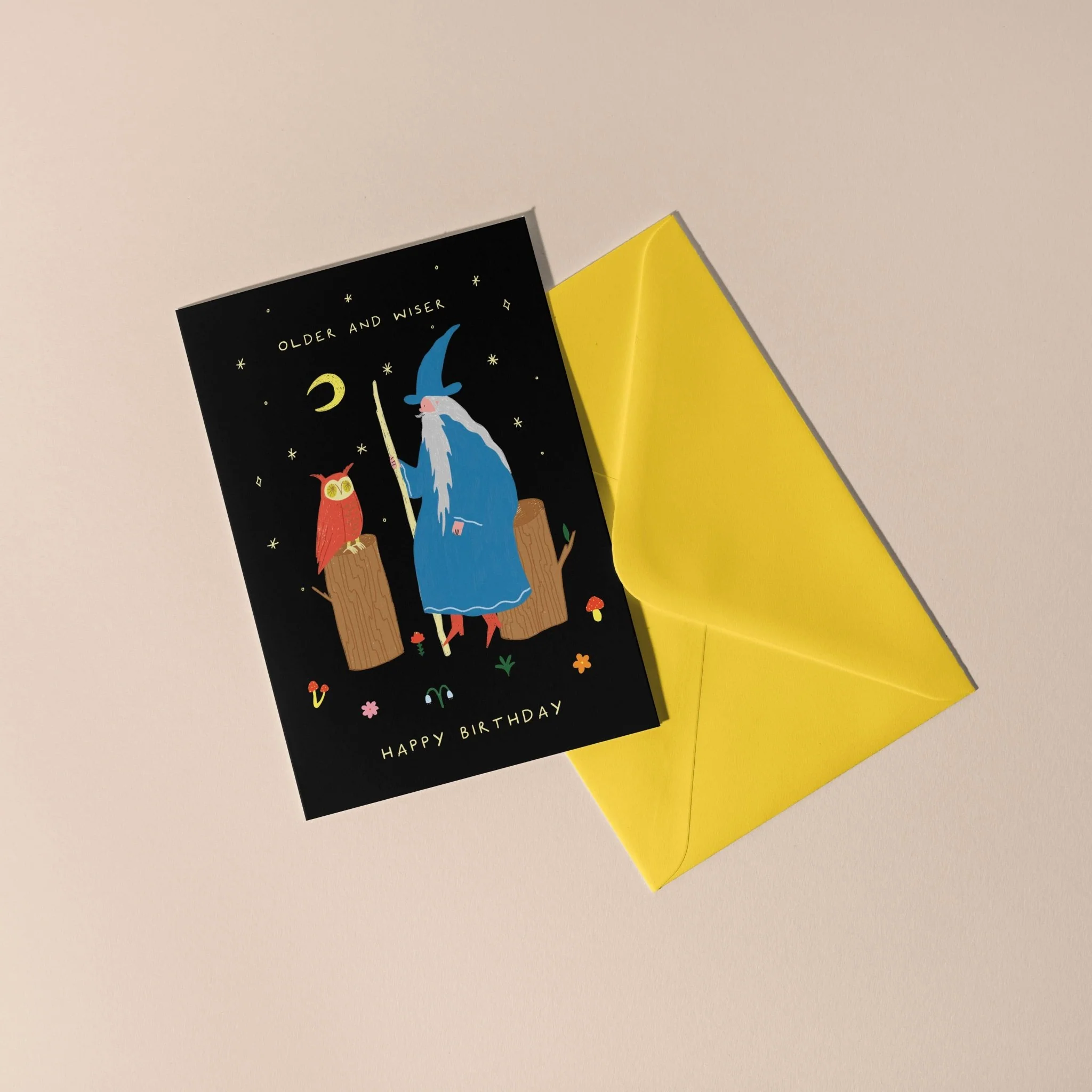 Older and Wiser Birthday Greetings Card | Wizard Card | Men's Birthday