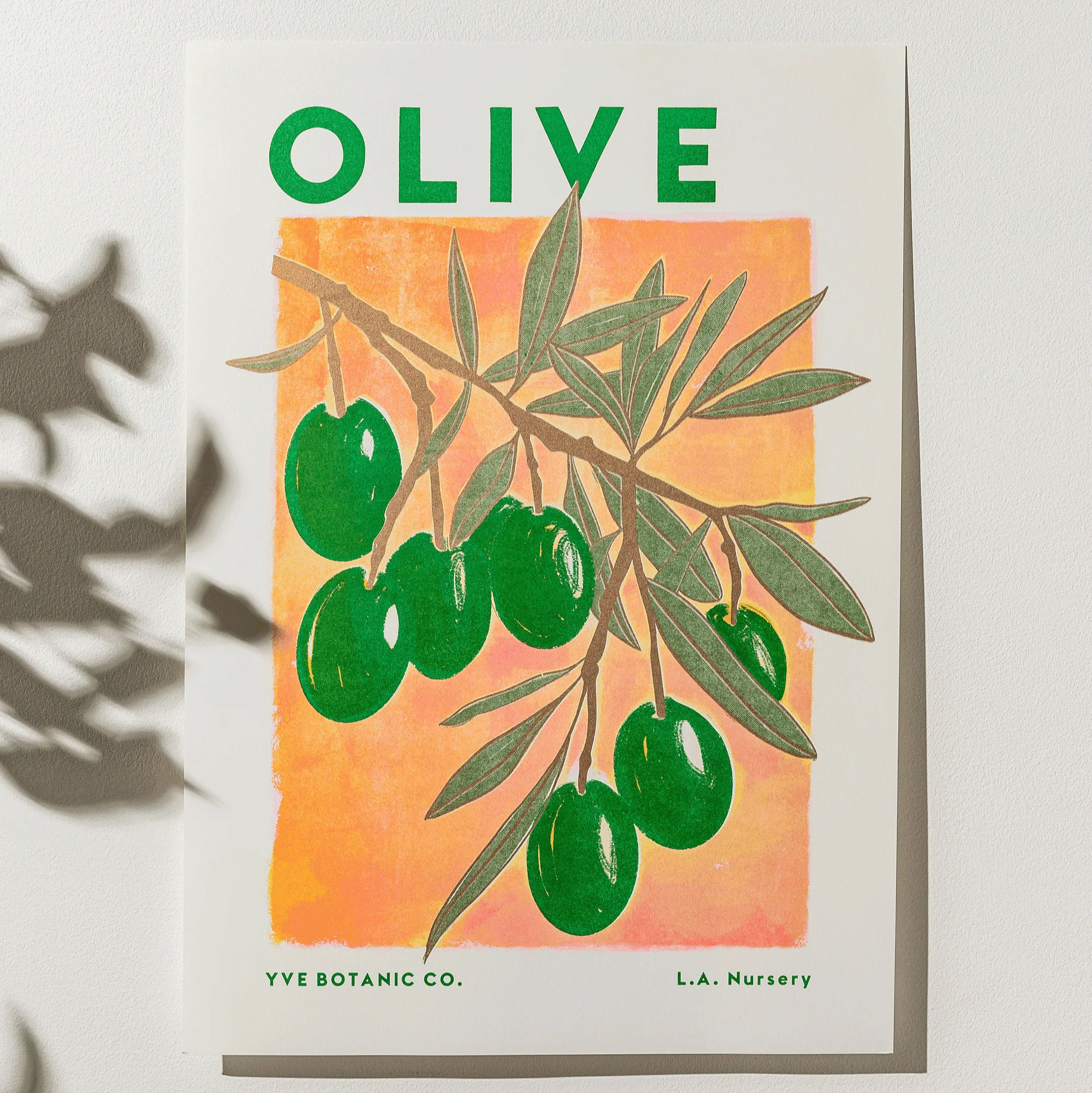 Olive Botanical Risograph Print