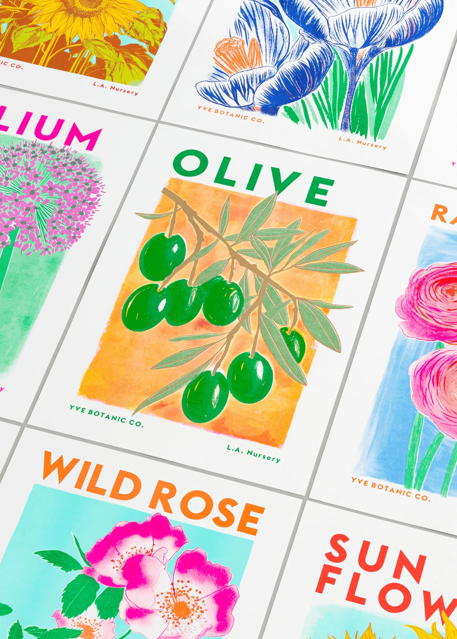 Olive Botanical Risograph Print - Image 2