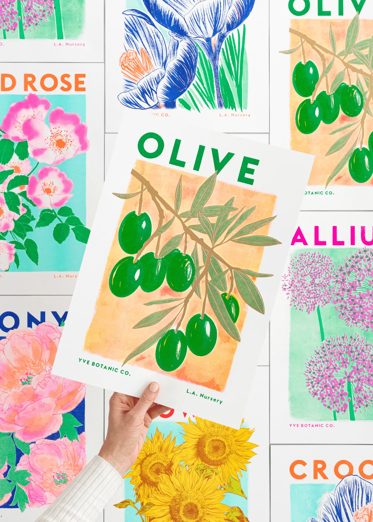 Olive Botanical Risograph Print - Image 4