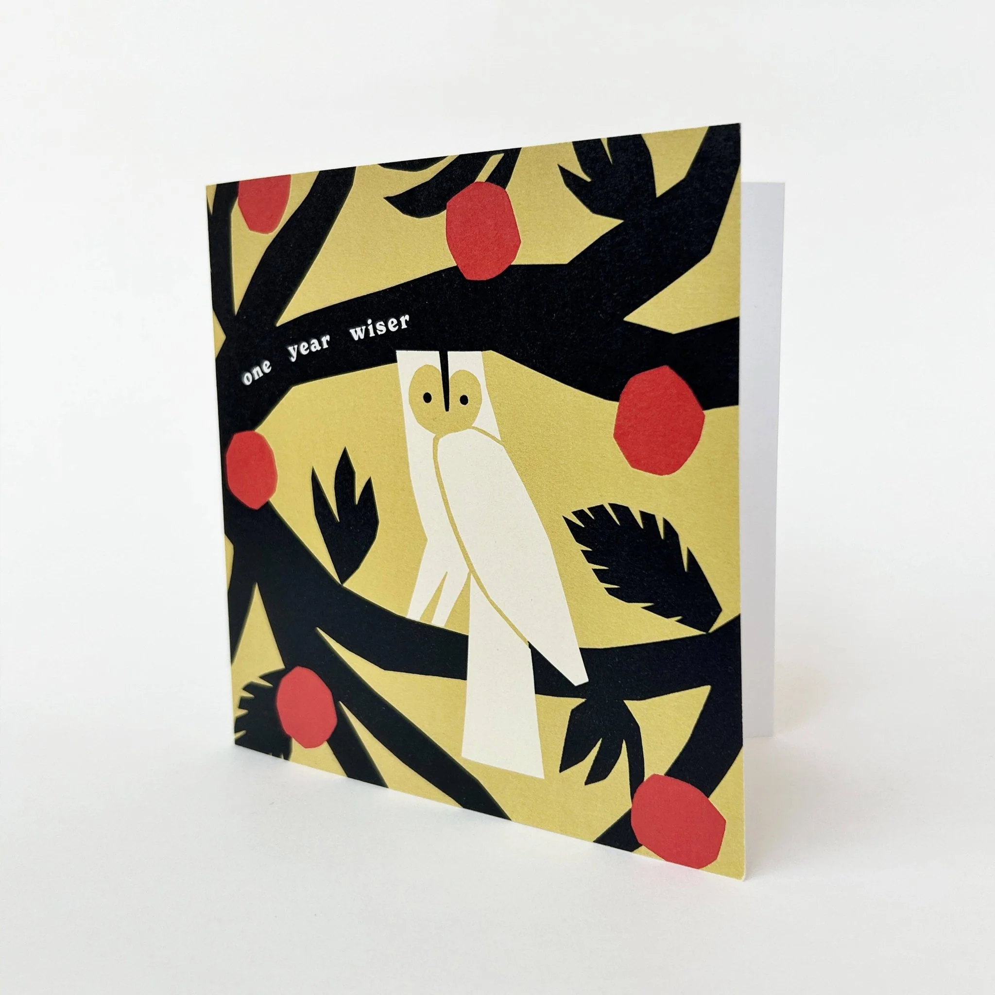 One Year Wiser Owl Greetings Card - Image 2