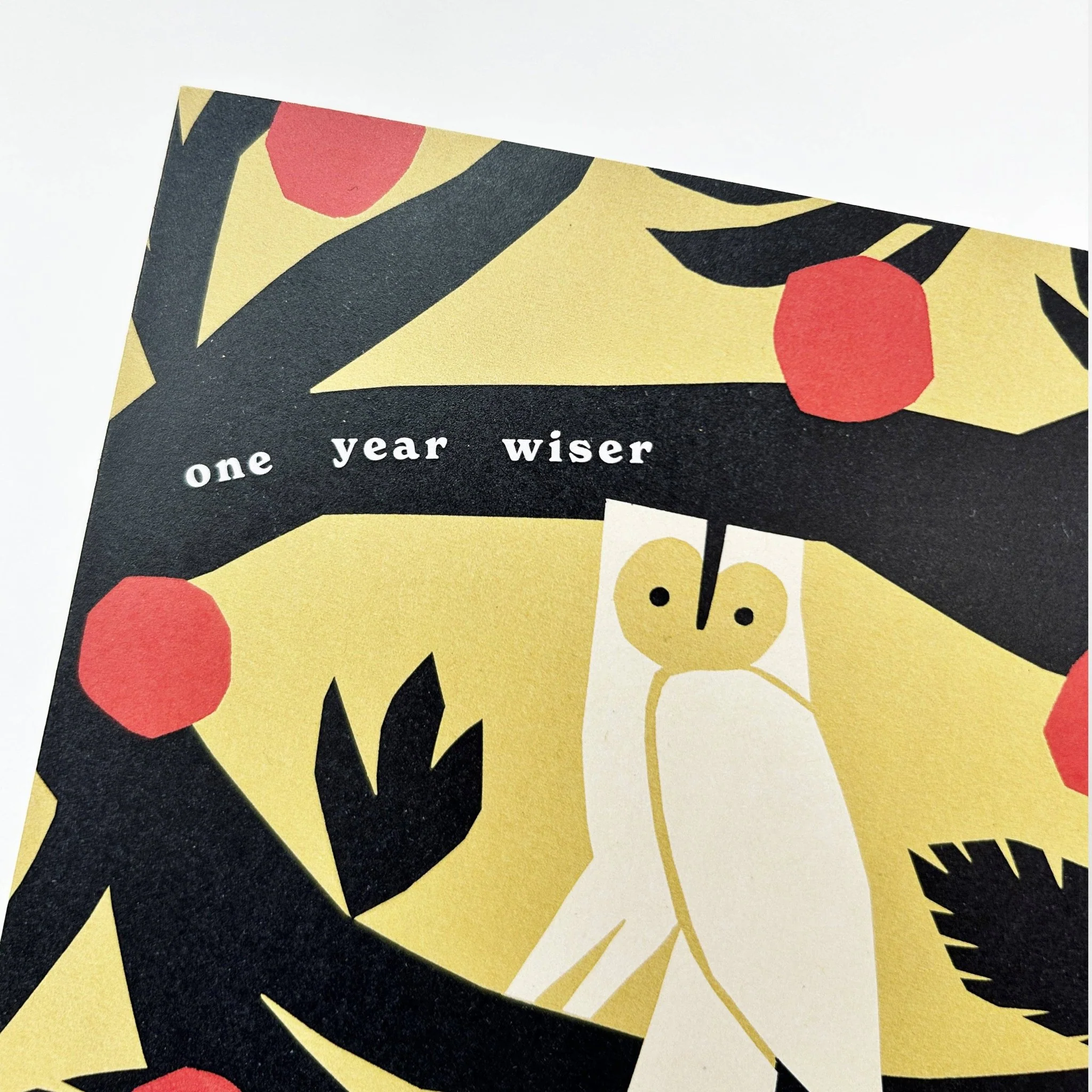 One Year Wiser Owl Greetings Card - Image 3