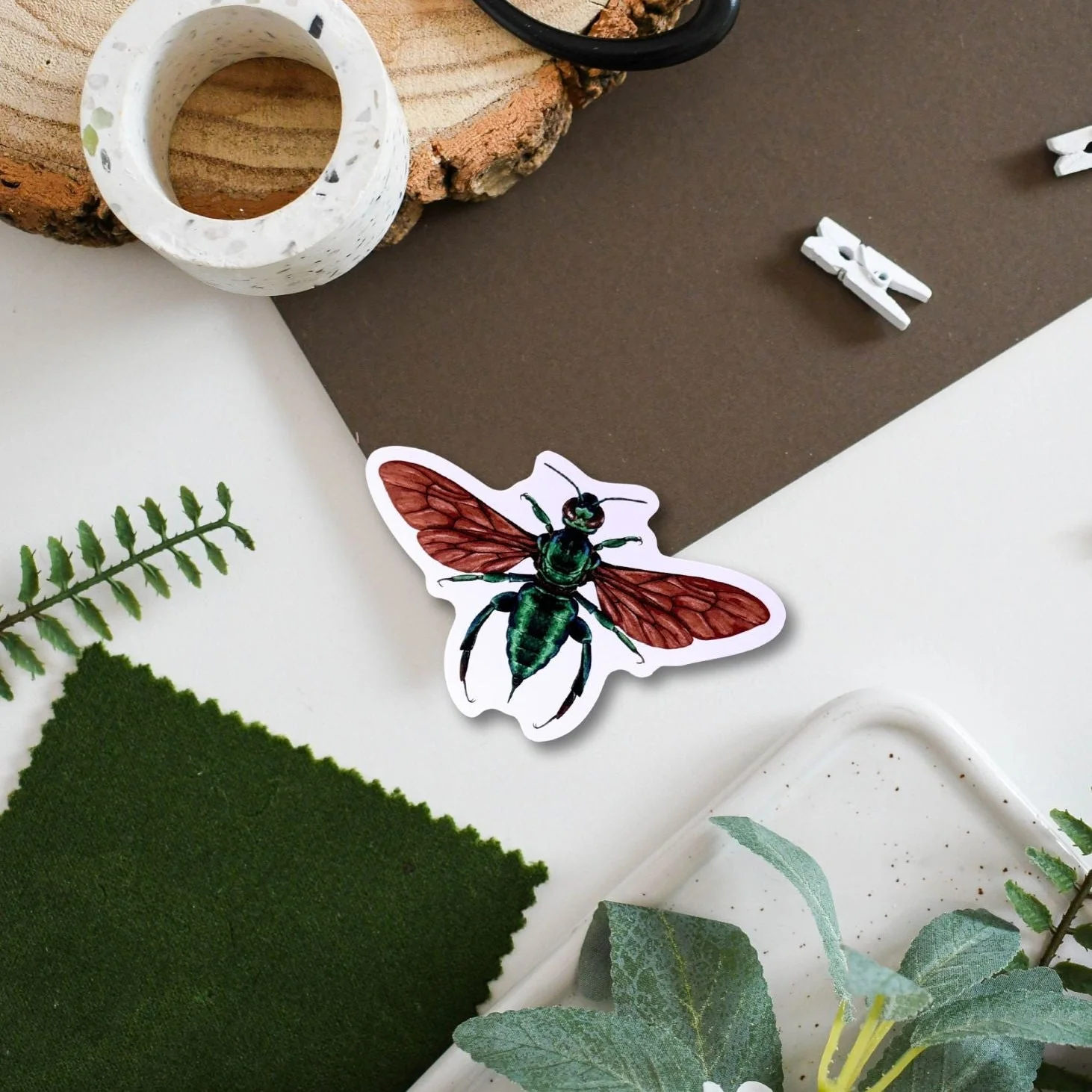 Orchid Bee Amazon Wildlife Vinyl Sticker [Beneath the Canopy RHS Collab]