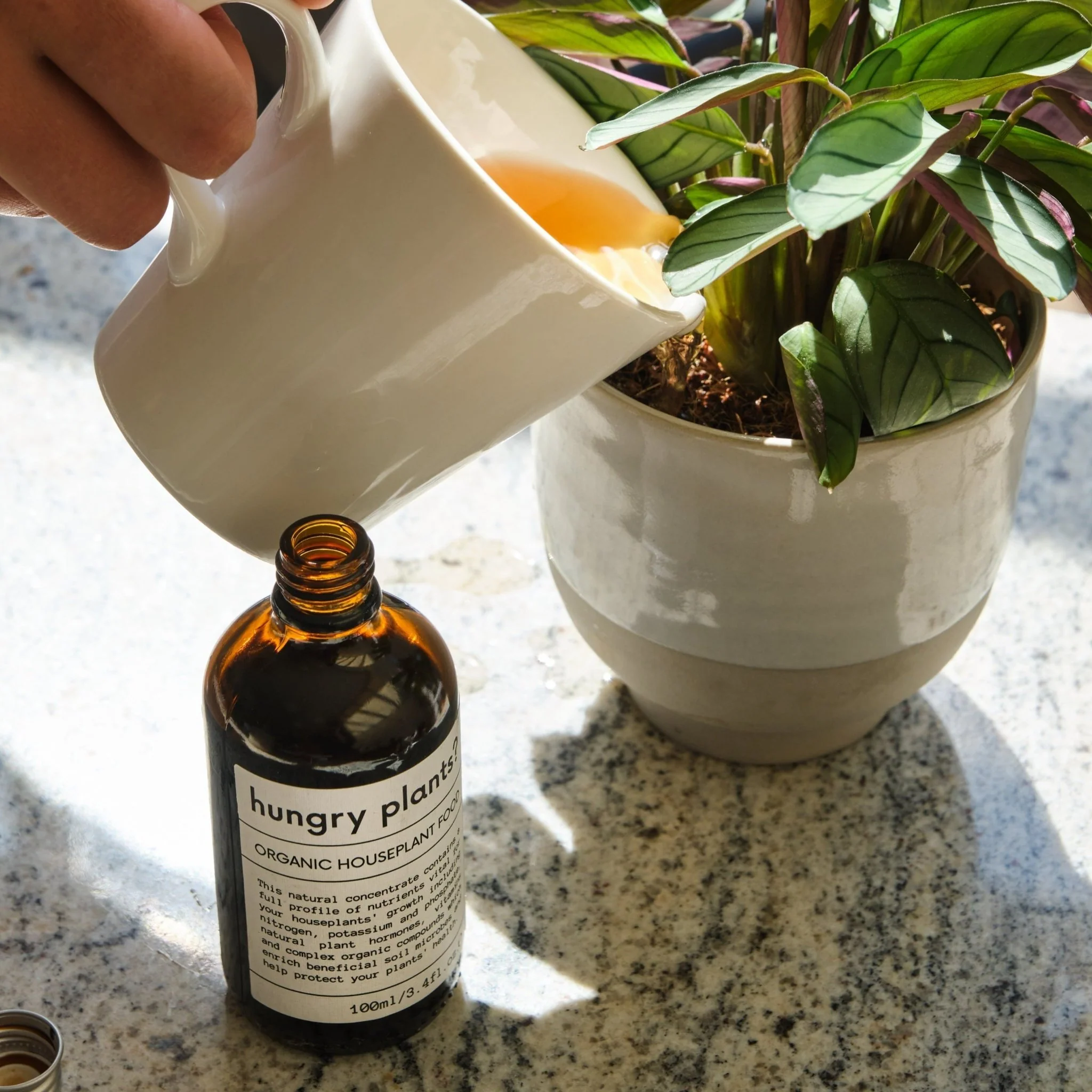 Organic Houseplant Food - Image 2