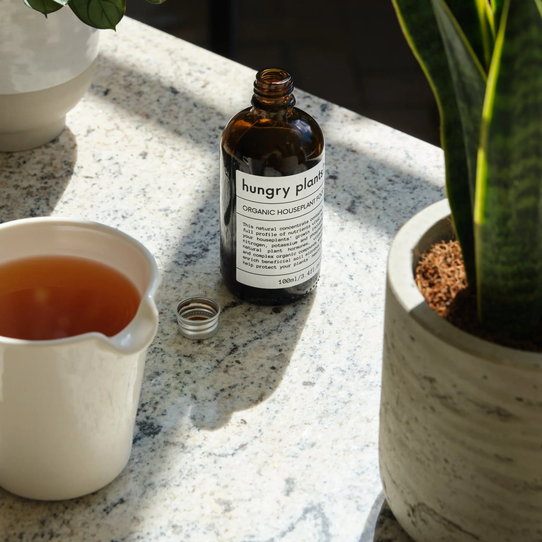Organic Houseplant Food - Image 3