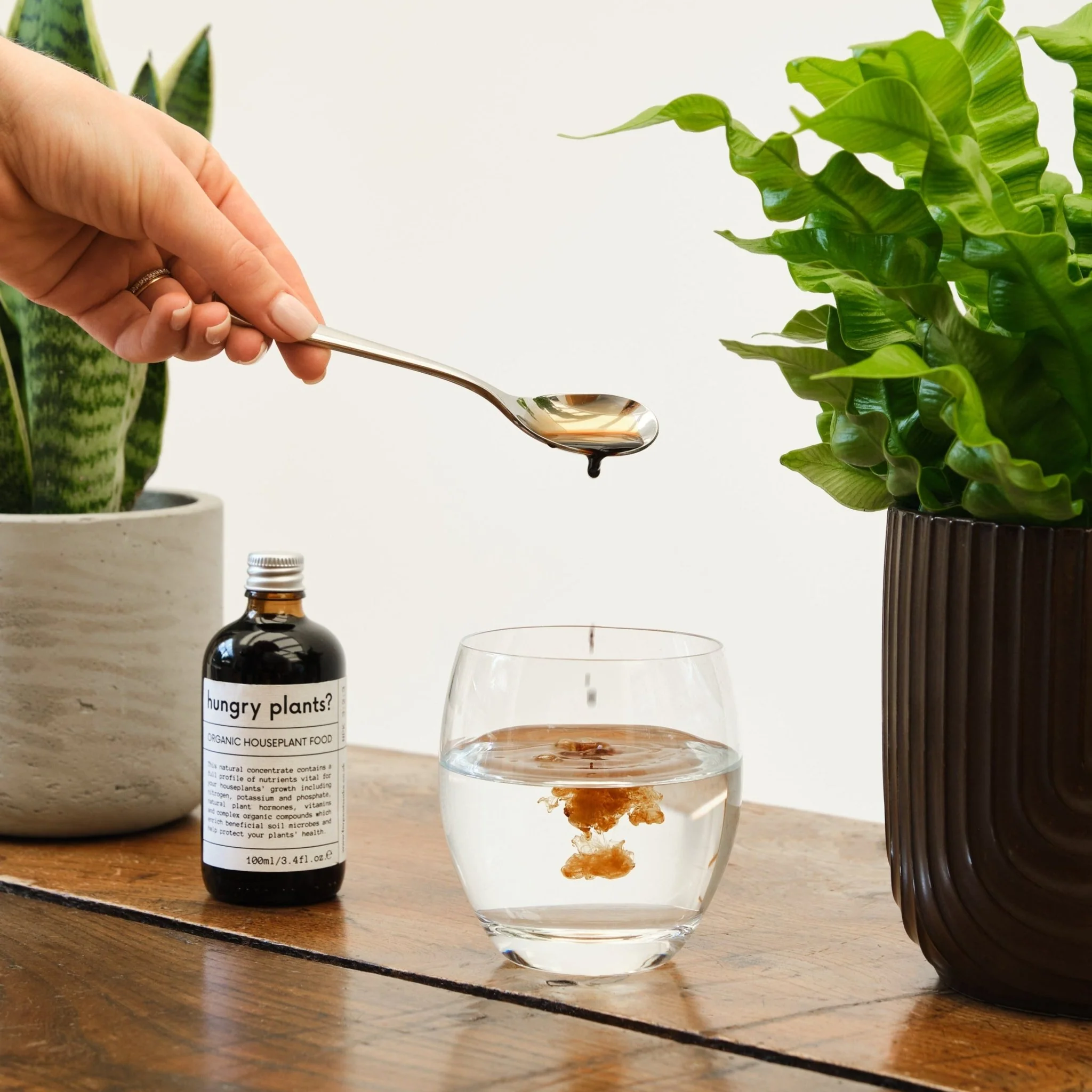 Organic Houseplant Food - Image 4