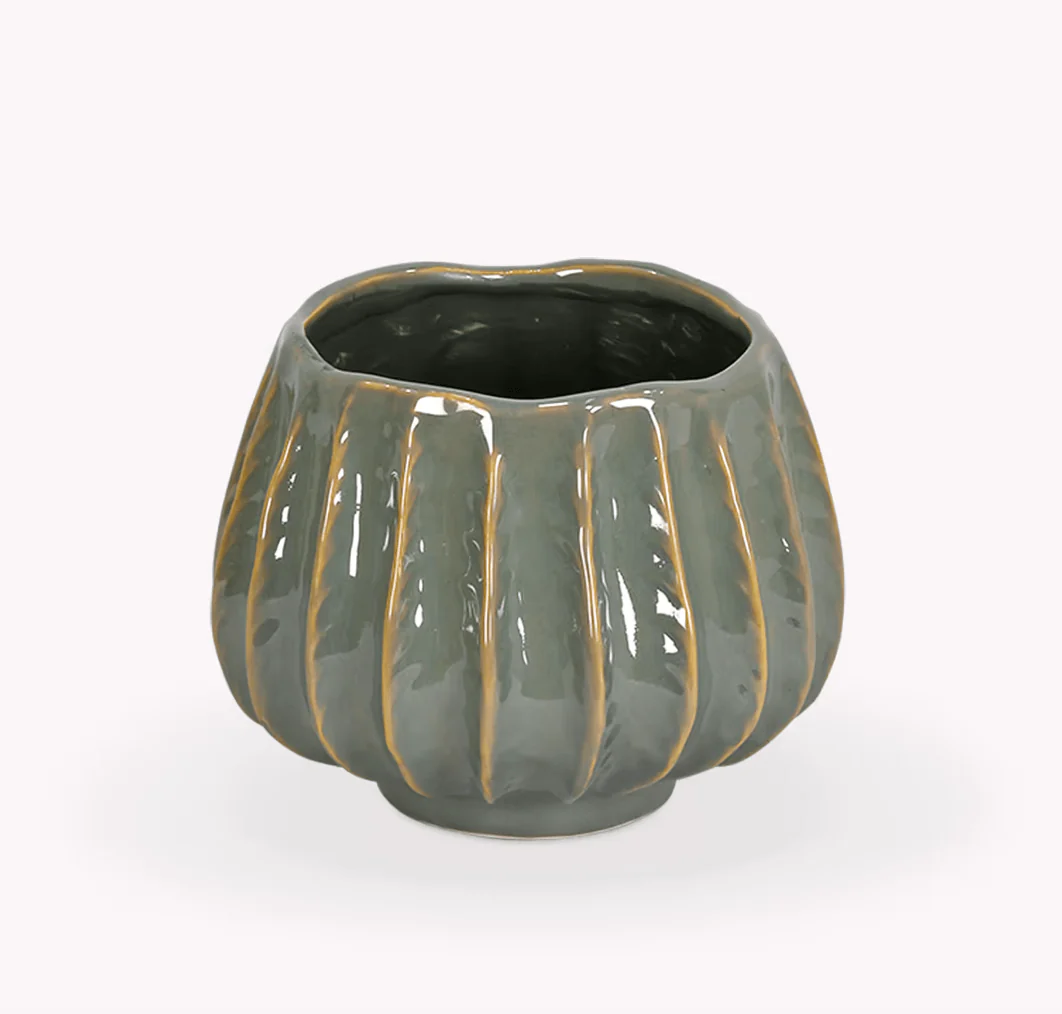 Osmington Pot in Rosemary Green
