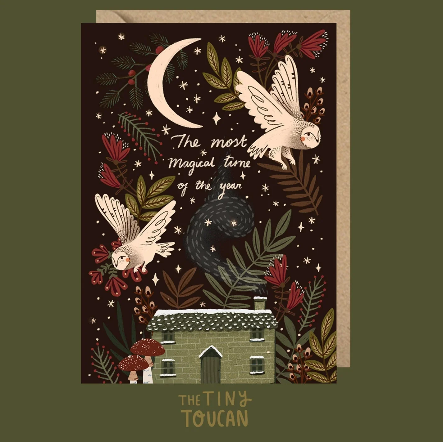 Owls Christmas Greetings Card