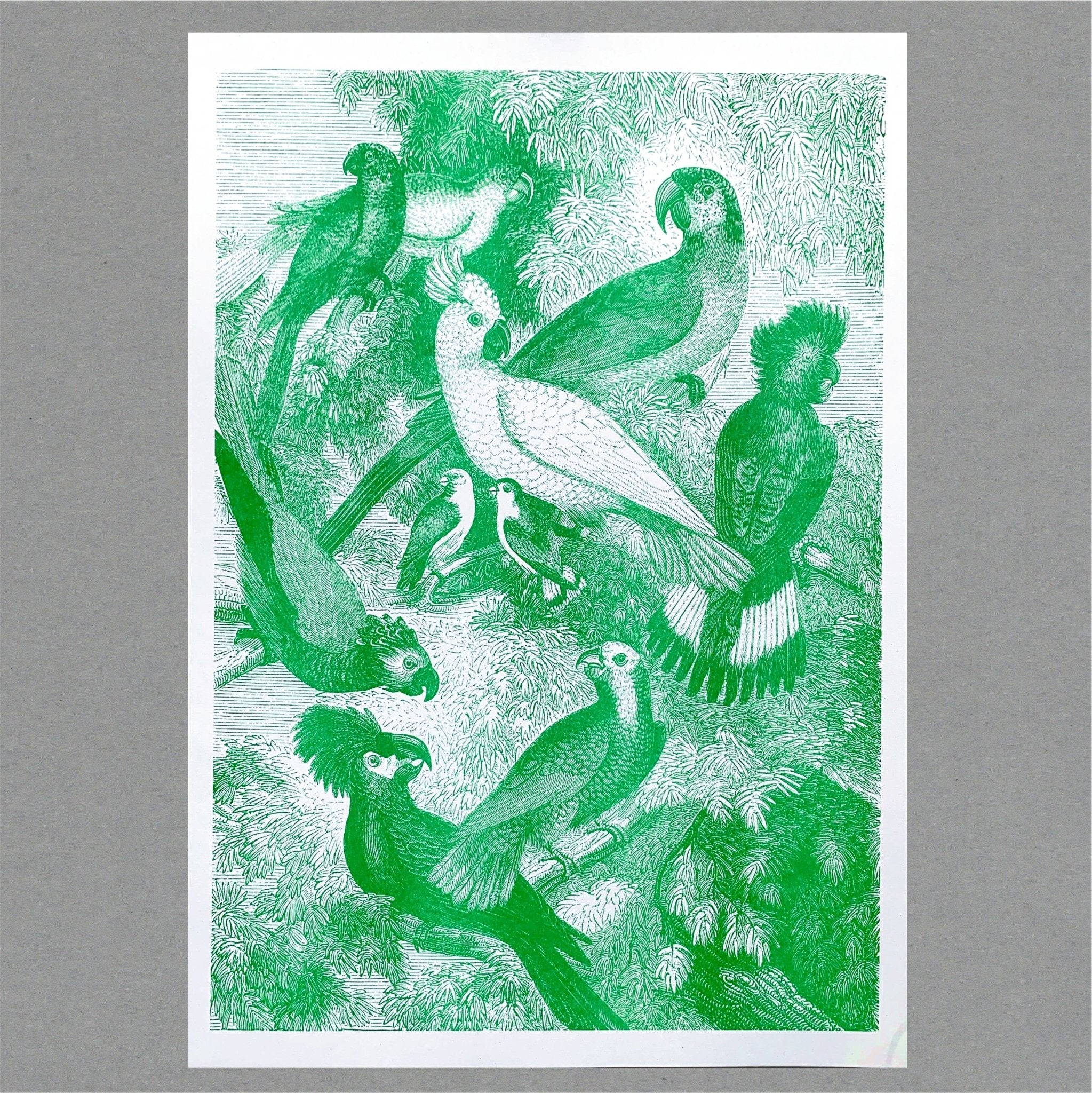 Parrots Risograph Print