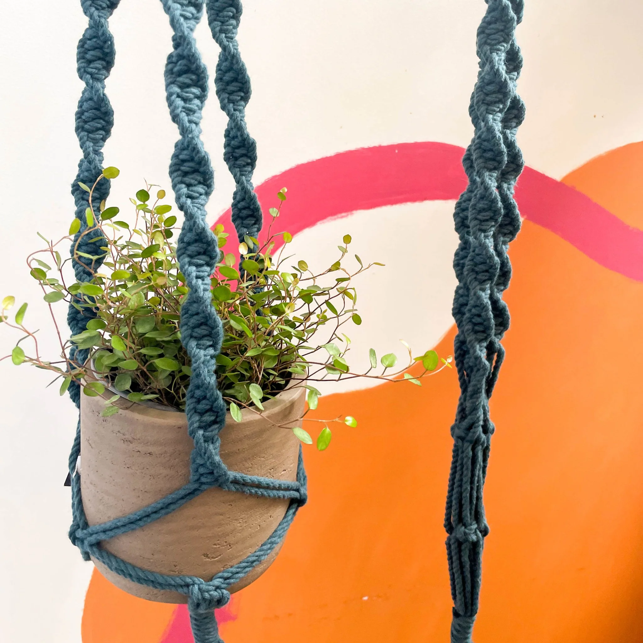 Peacock Blue Macrame Plant Hanger